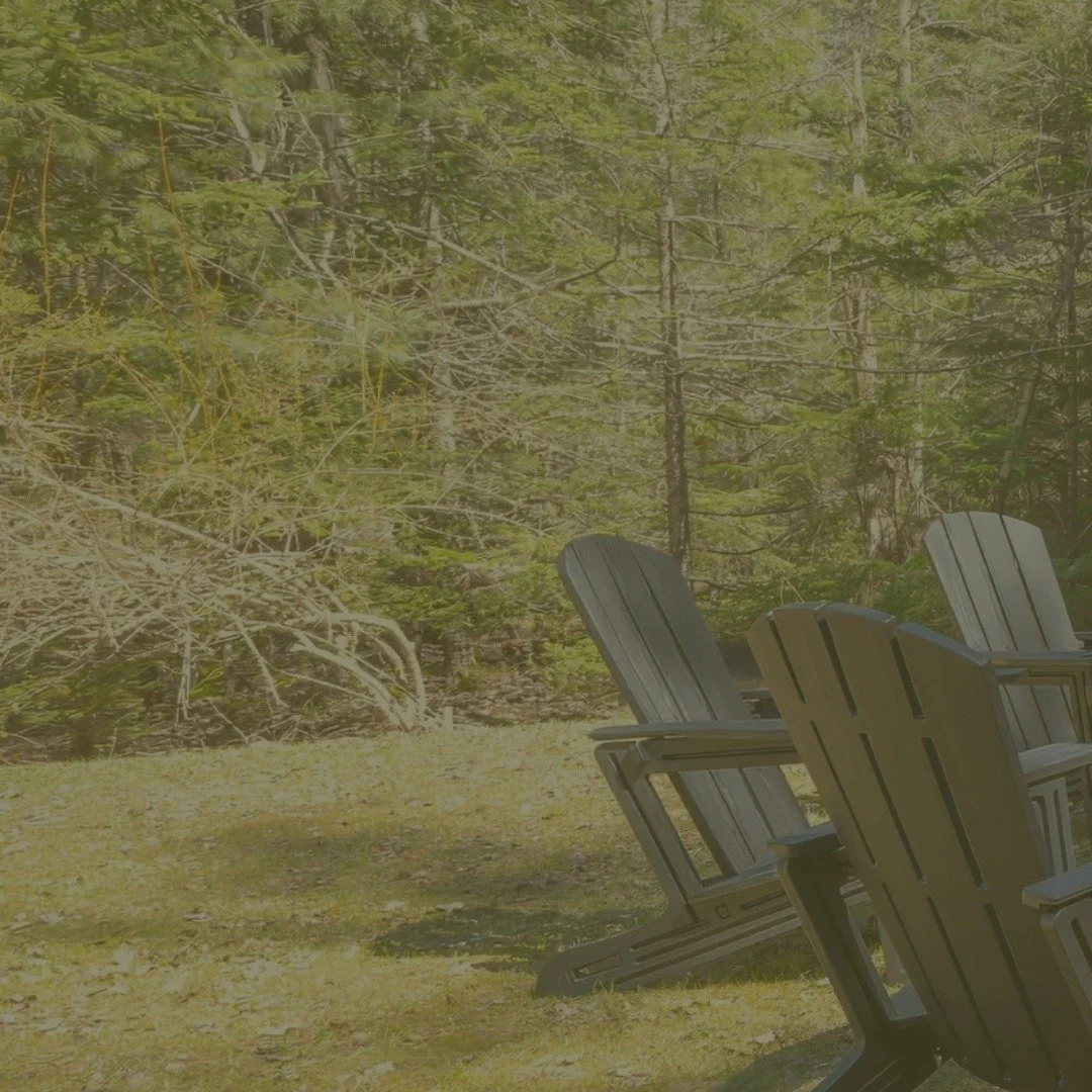 Acadia Evergreen