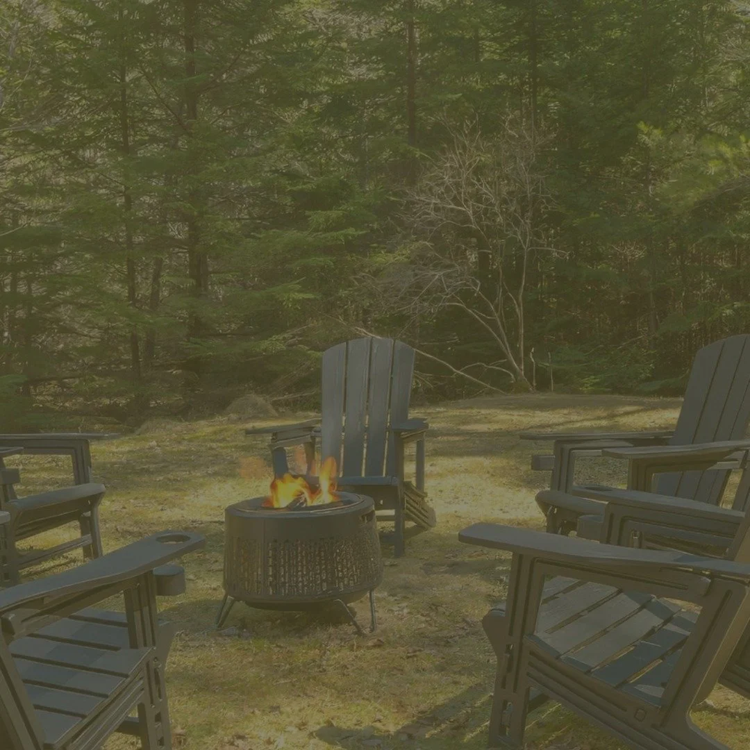 Acadia Evergreen