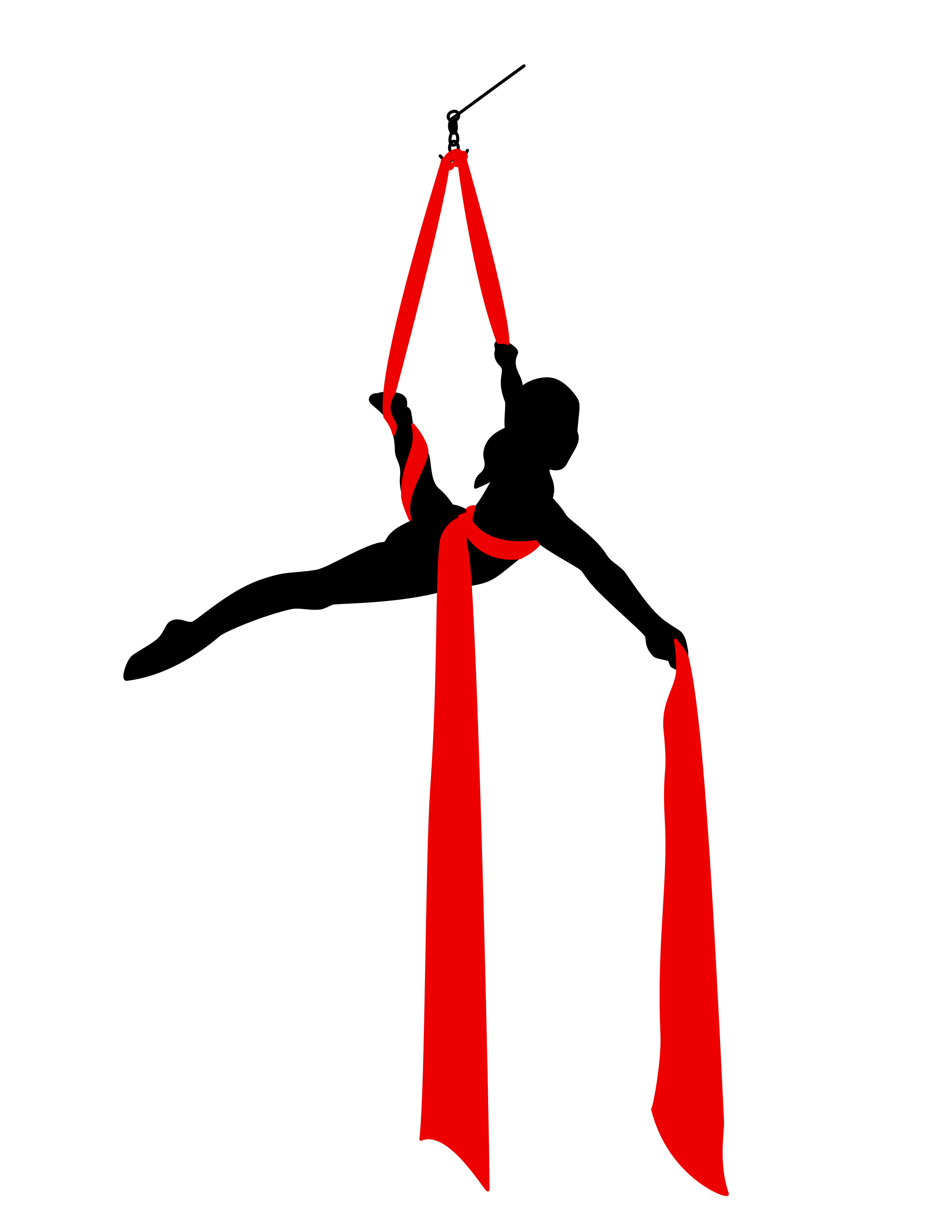 Aerial Arts Hawai'i digital design and logo, 2025.