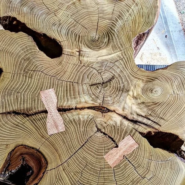 Butterfly/dutchman/pewa coffee table.