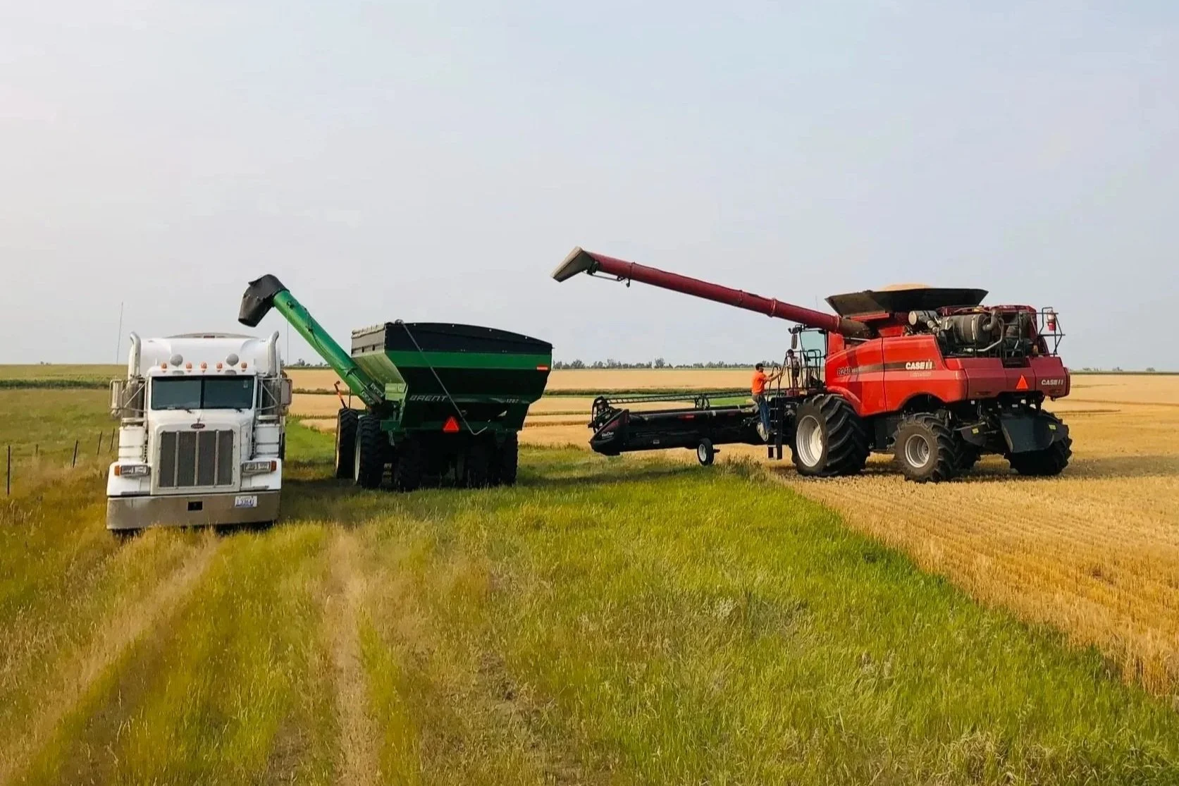 Advanced Agronomy