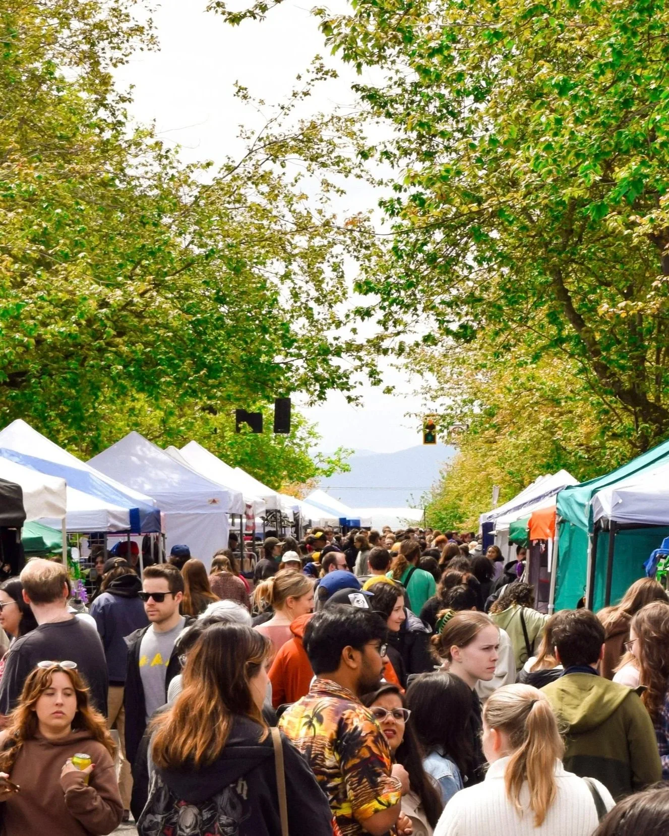 August Wonderz Market