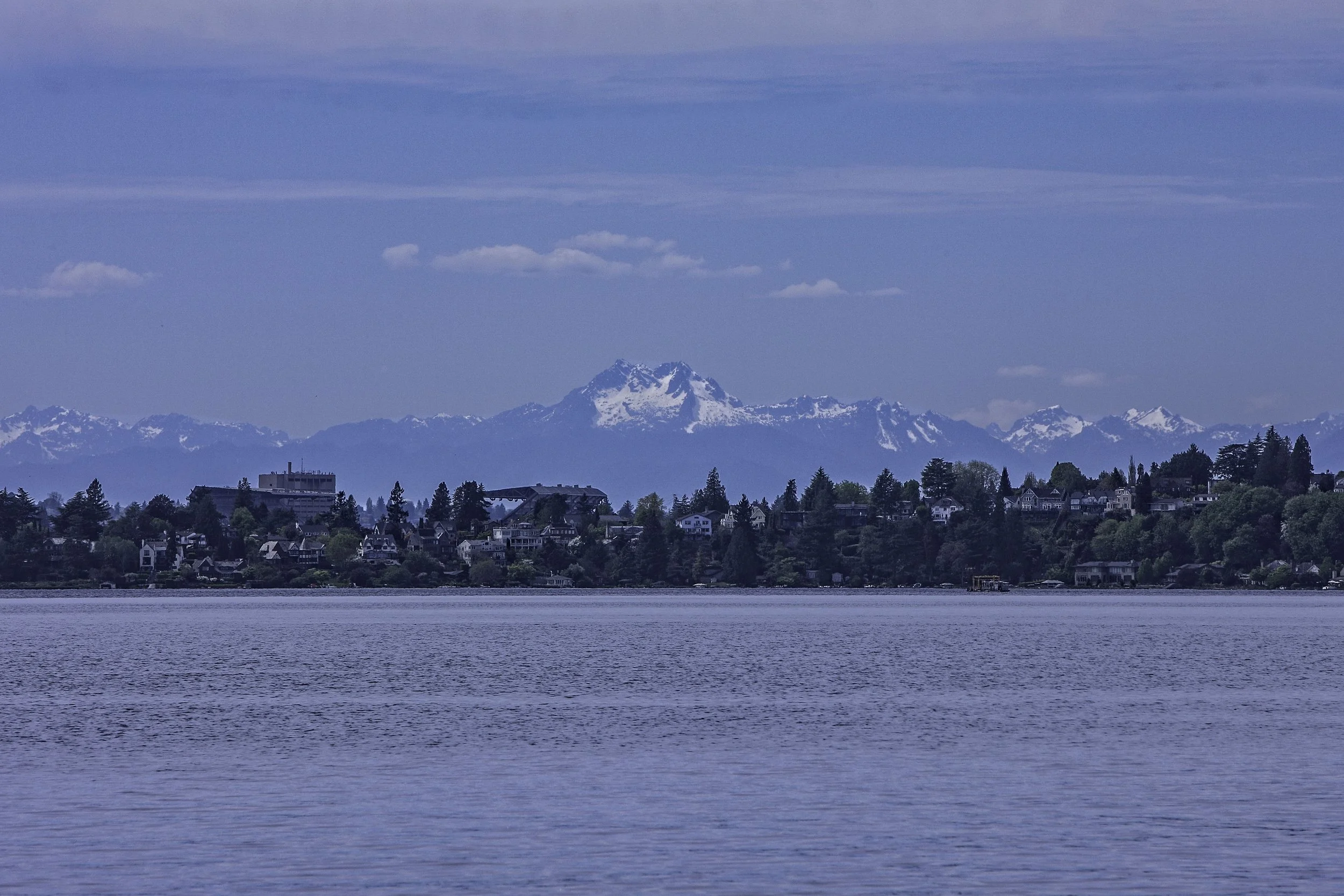 Olympics View 365Z6360.jpg