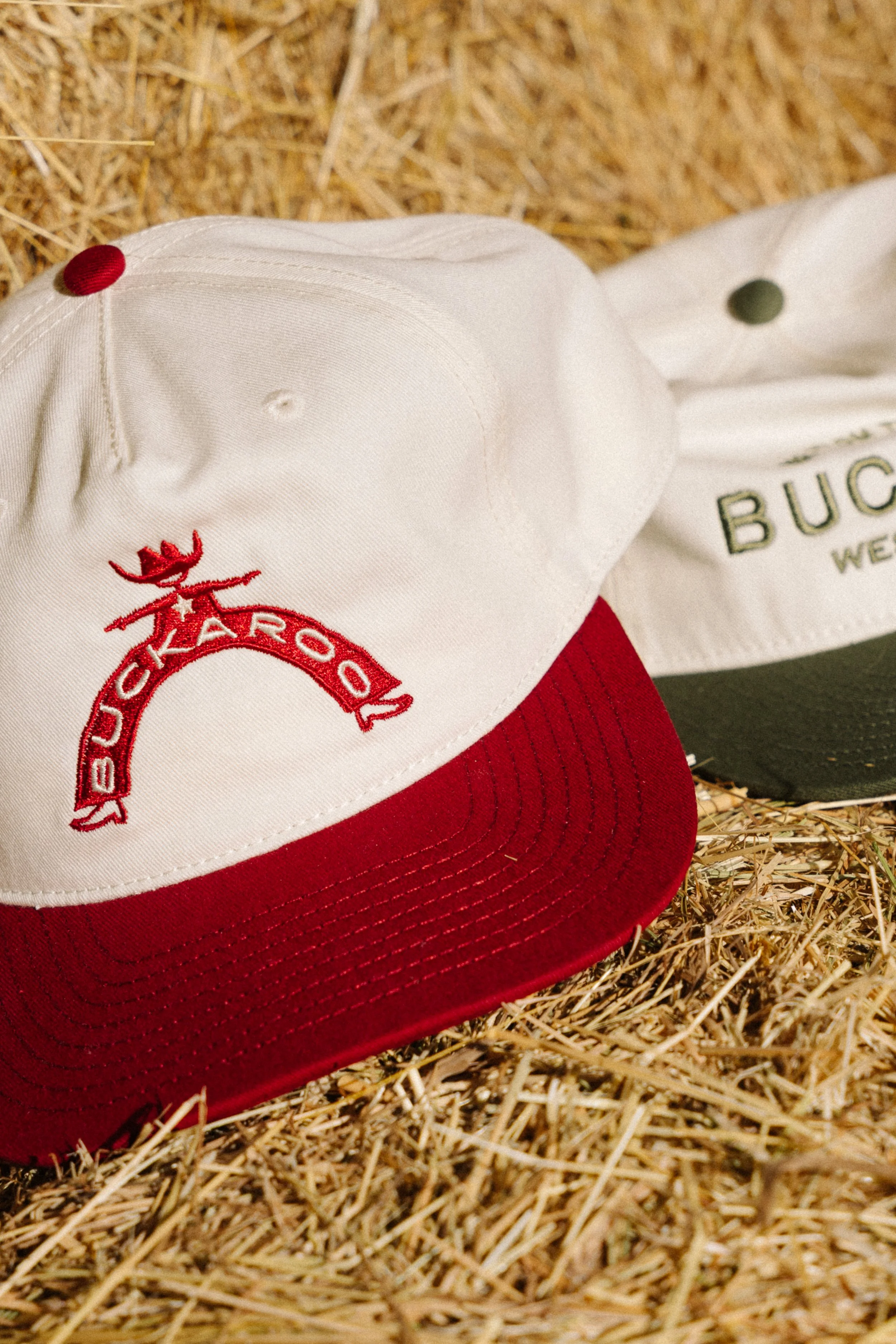Buckaroo-04534.jpg