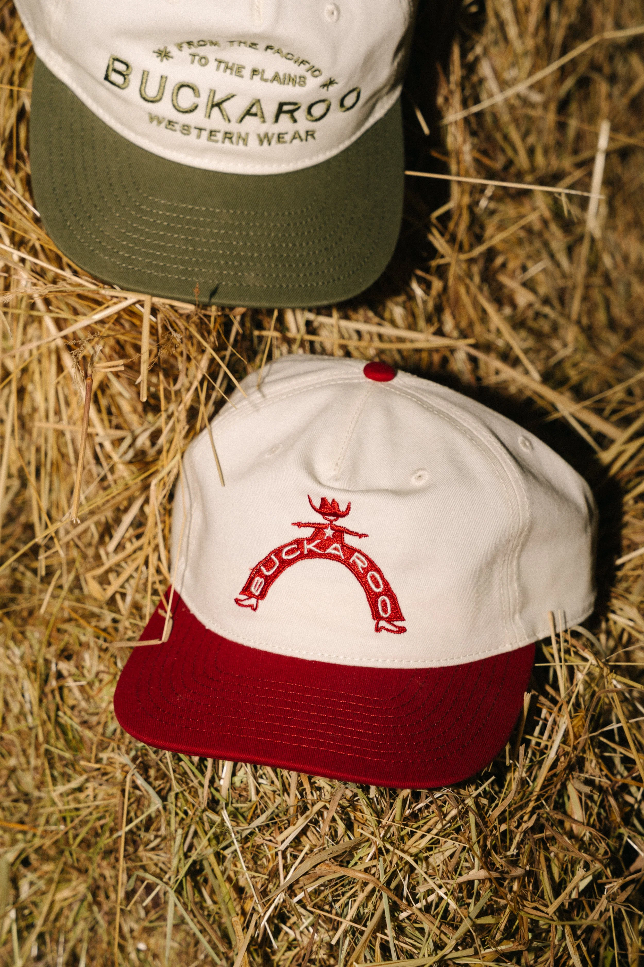 Buckaroo-04508.jpg