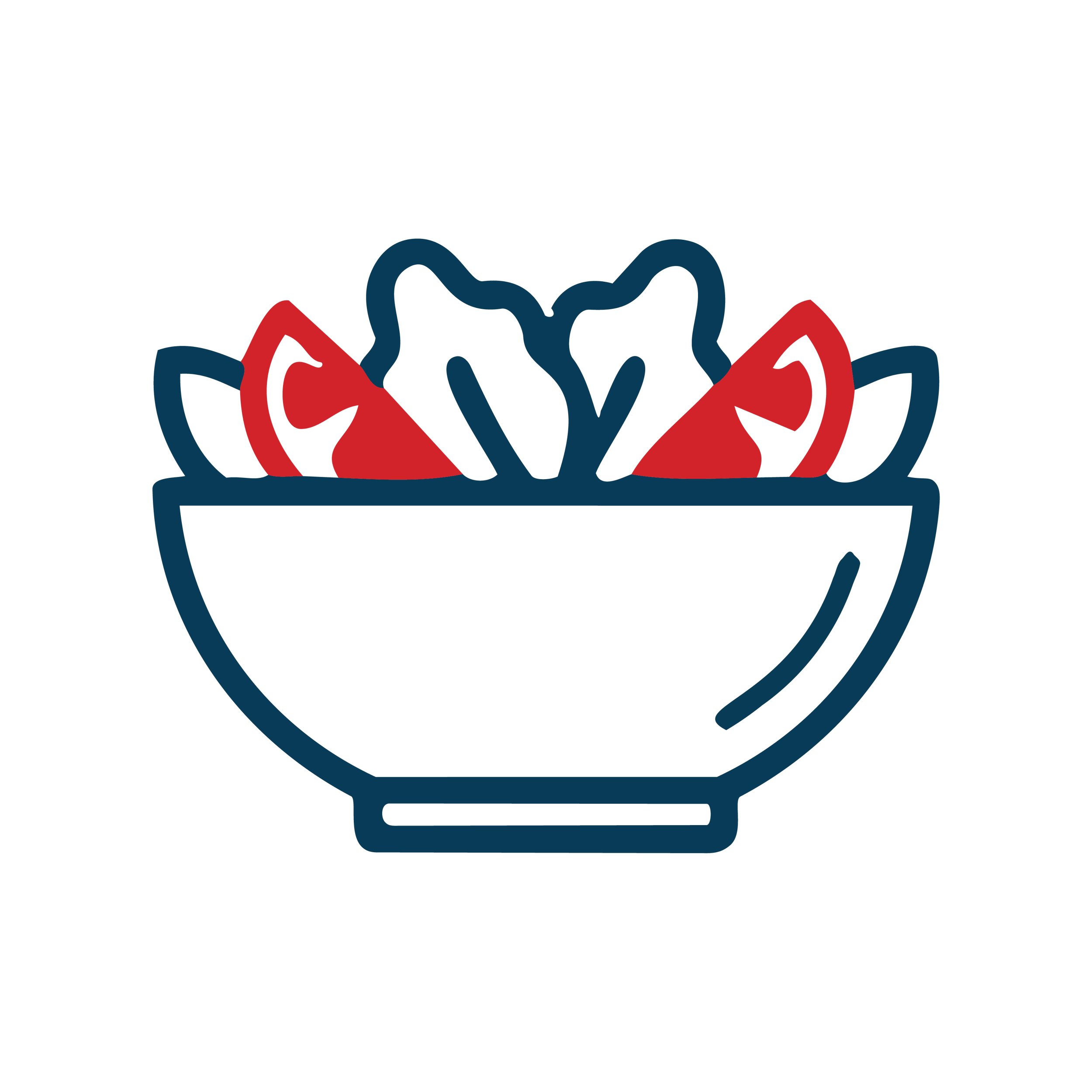 Icon of salad with tomatoes.