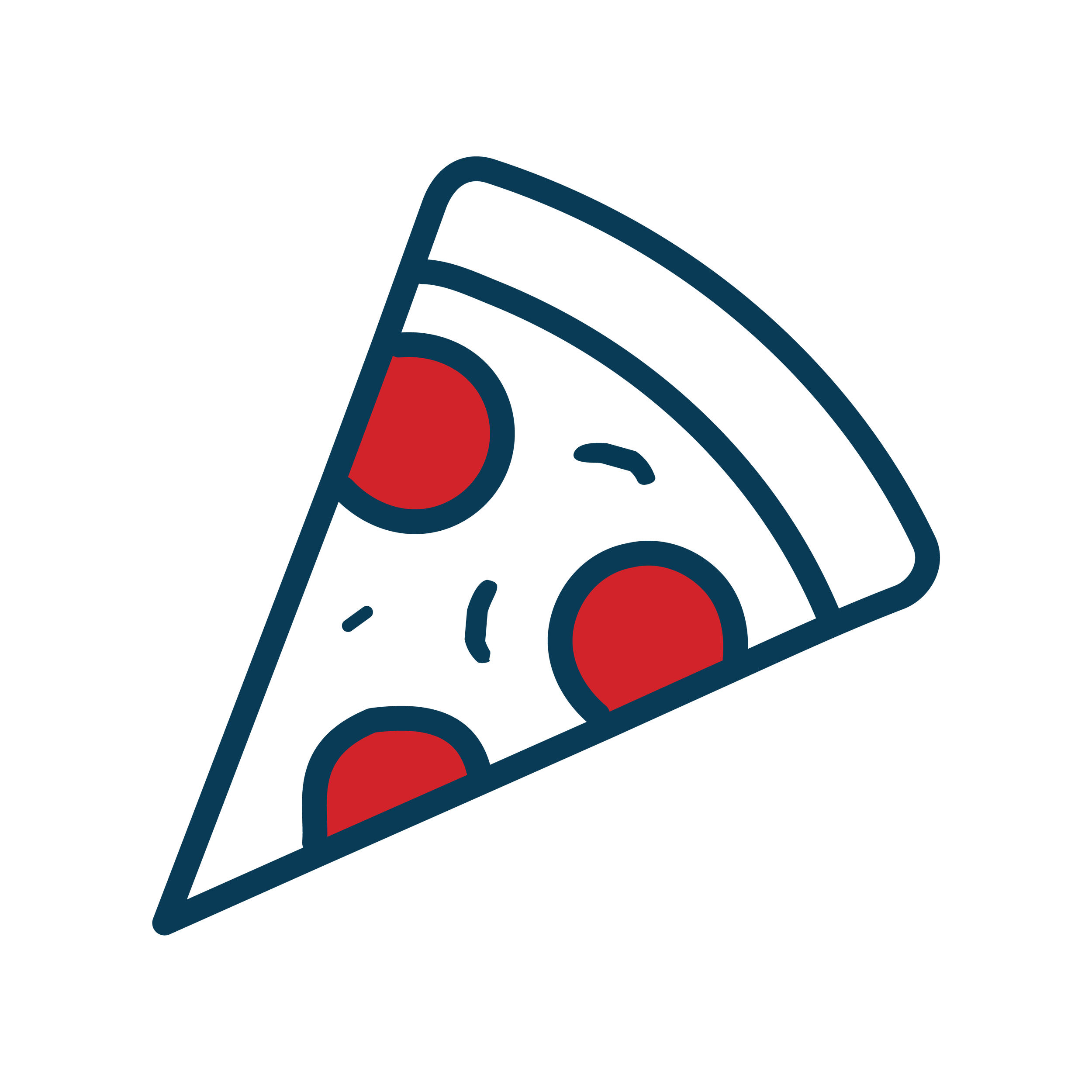 Icon of a slice of pepperoni pizza.