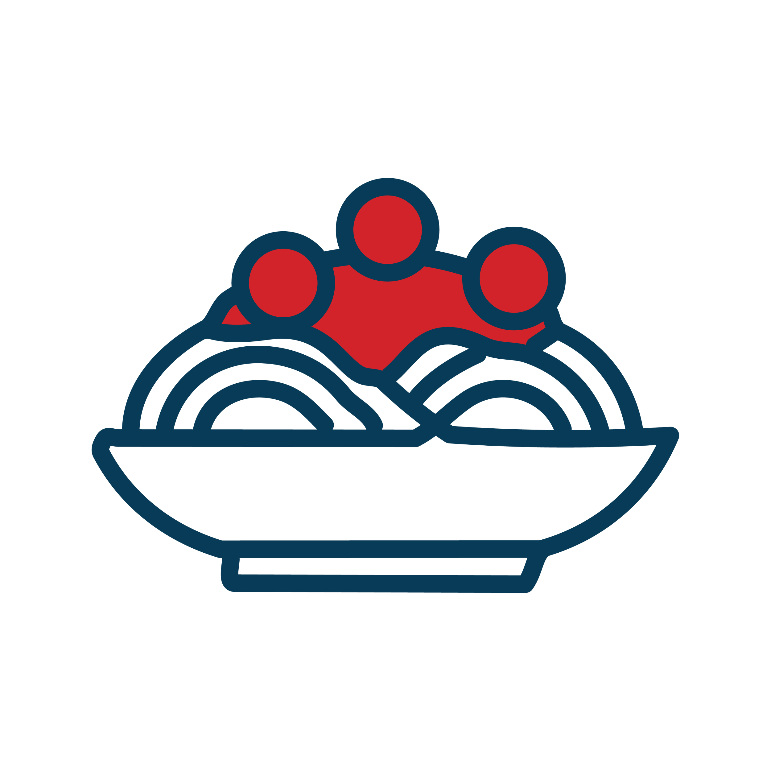 Icon of pasta with meatballs.