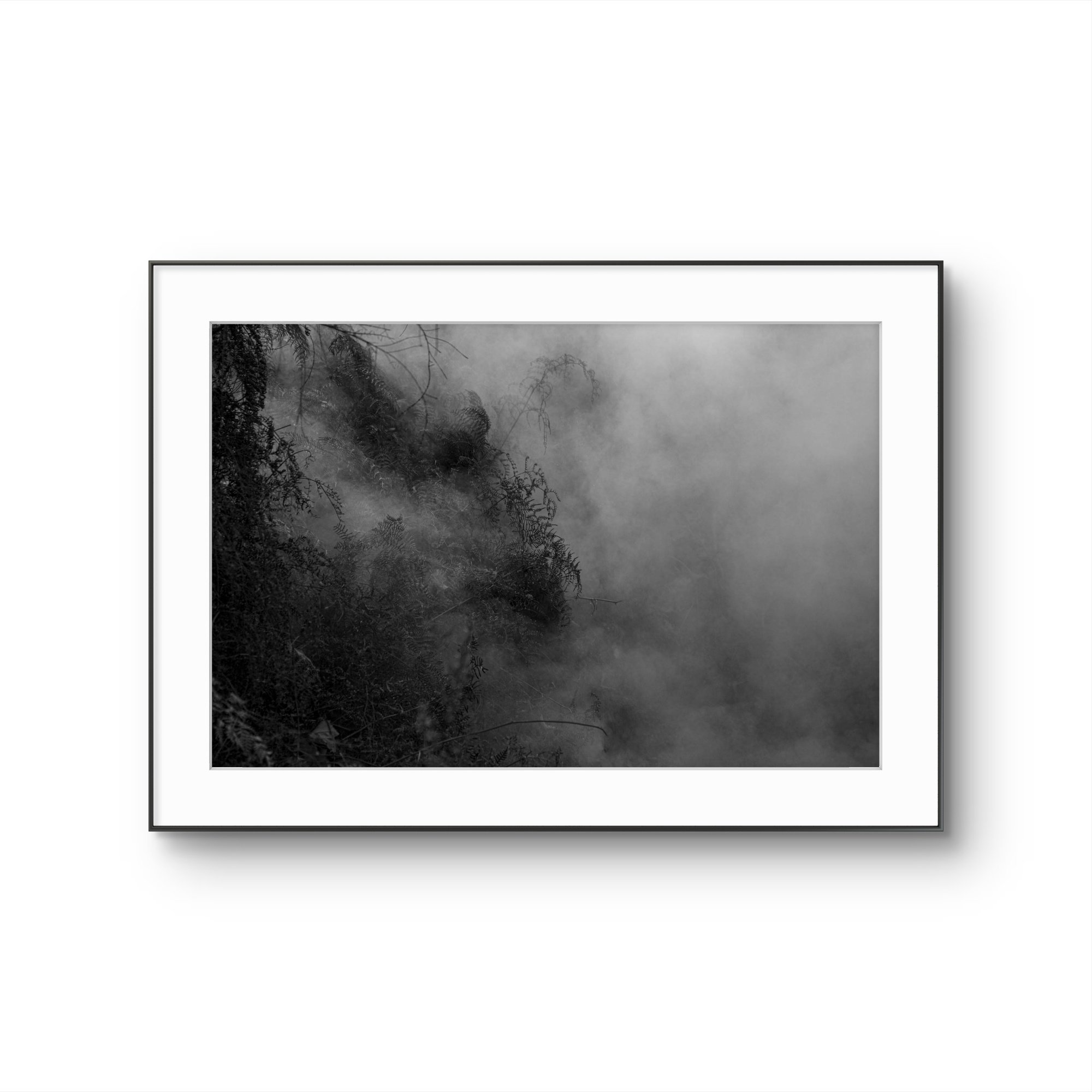 Une affiche noire et blanche représentant un paysage naturel avec des arbres et de la brume.
