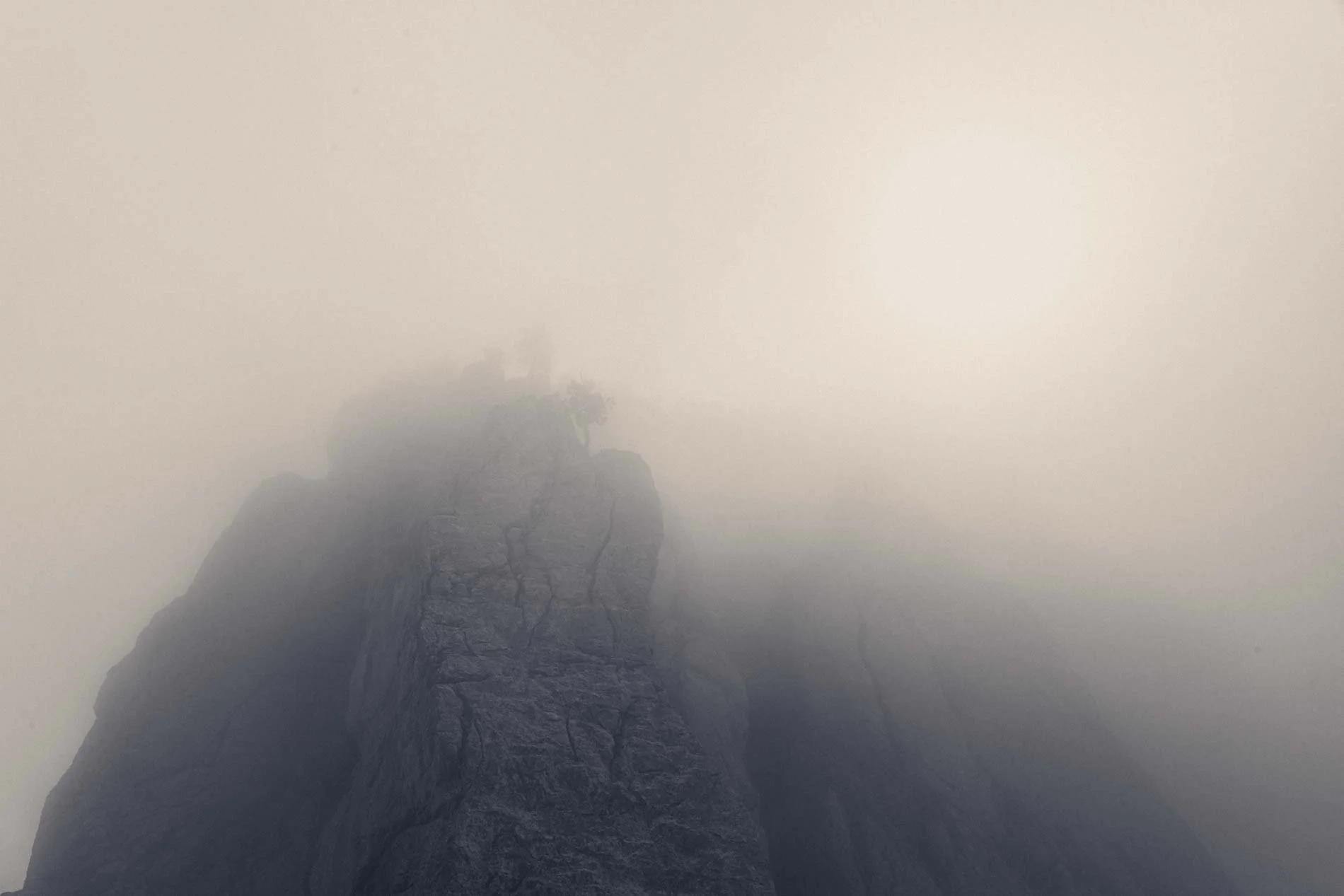 Montagne escarpée recouverte de brouillard, avec un arbre nu au premier plan.