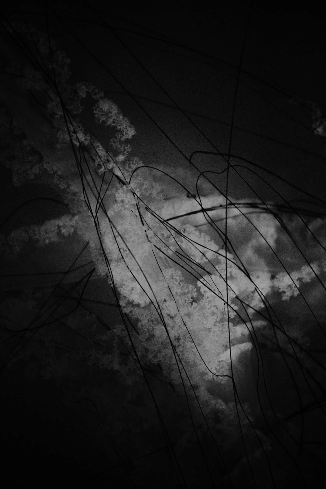 Ciel nocturne avec des nuages lumineux et des lignes électriques en silhouette.