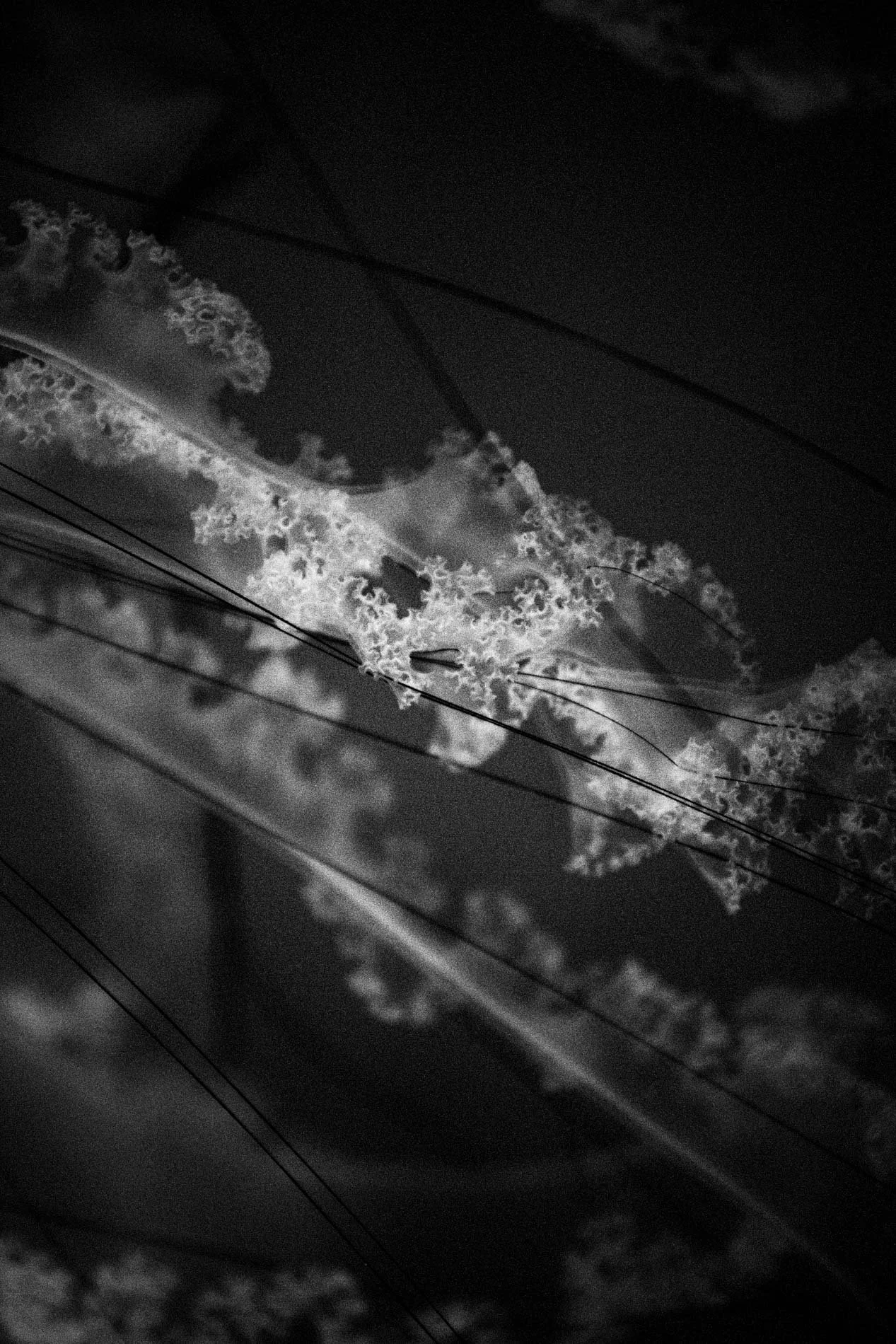 Une reflection de nuages dans une surface métallique brillante, avec des lignes d'électricité traversant l'image.