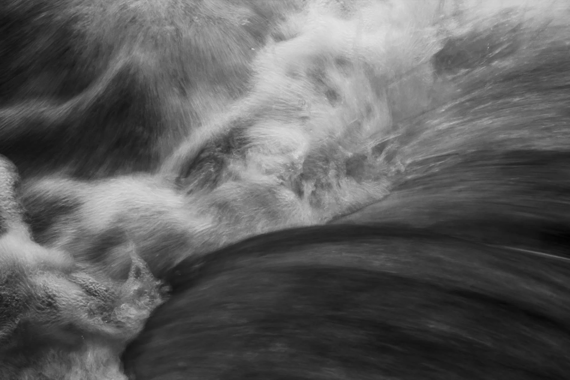 Photographie__MG_9861_Arthur Escoffier.jpg