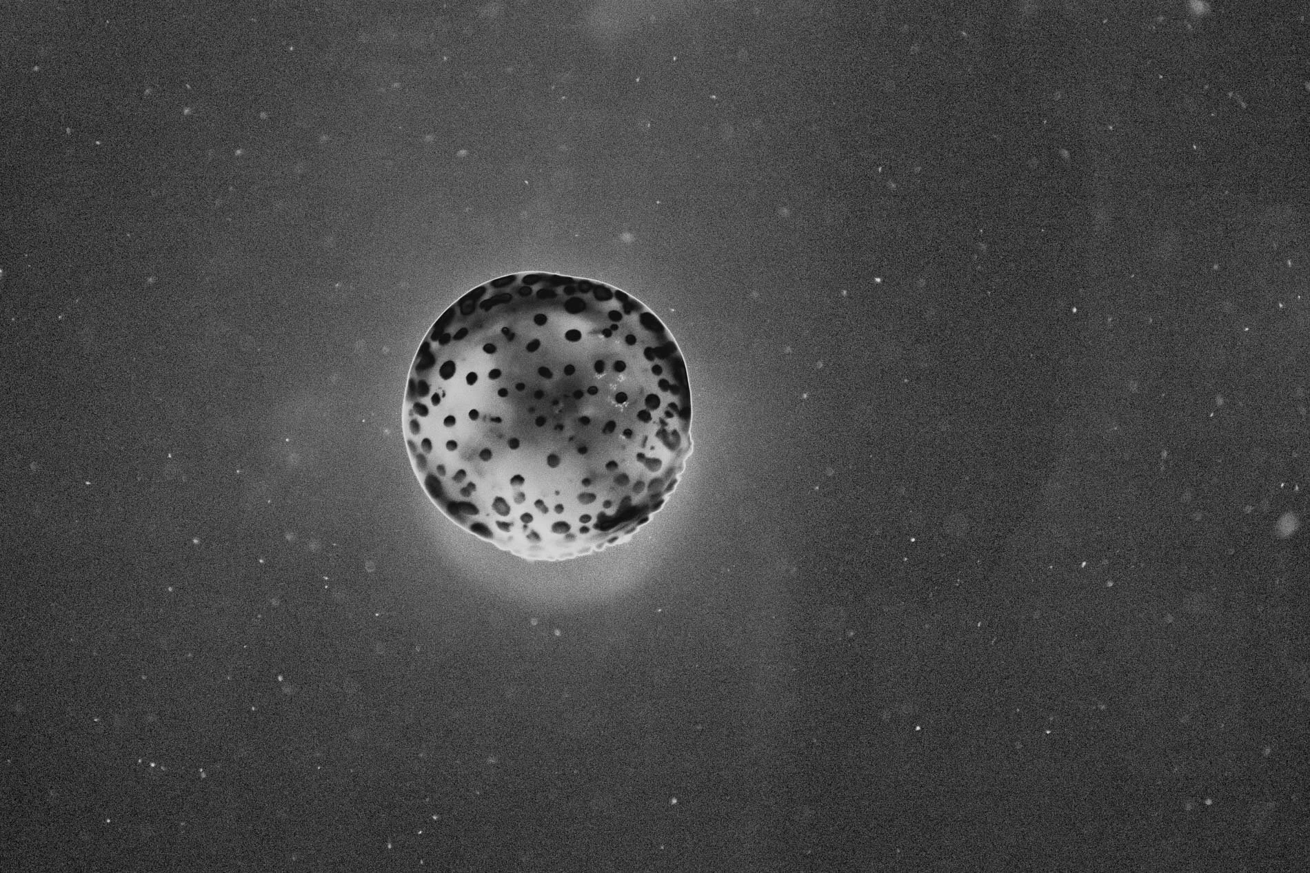 Une image en noir et blanc d'une planète ou d'un astre avec beaucoup de cratères, flottant dans un espace rempli de petites étoiles.