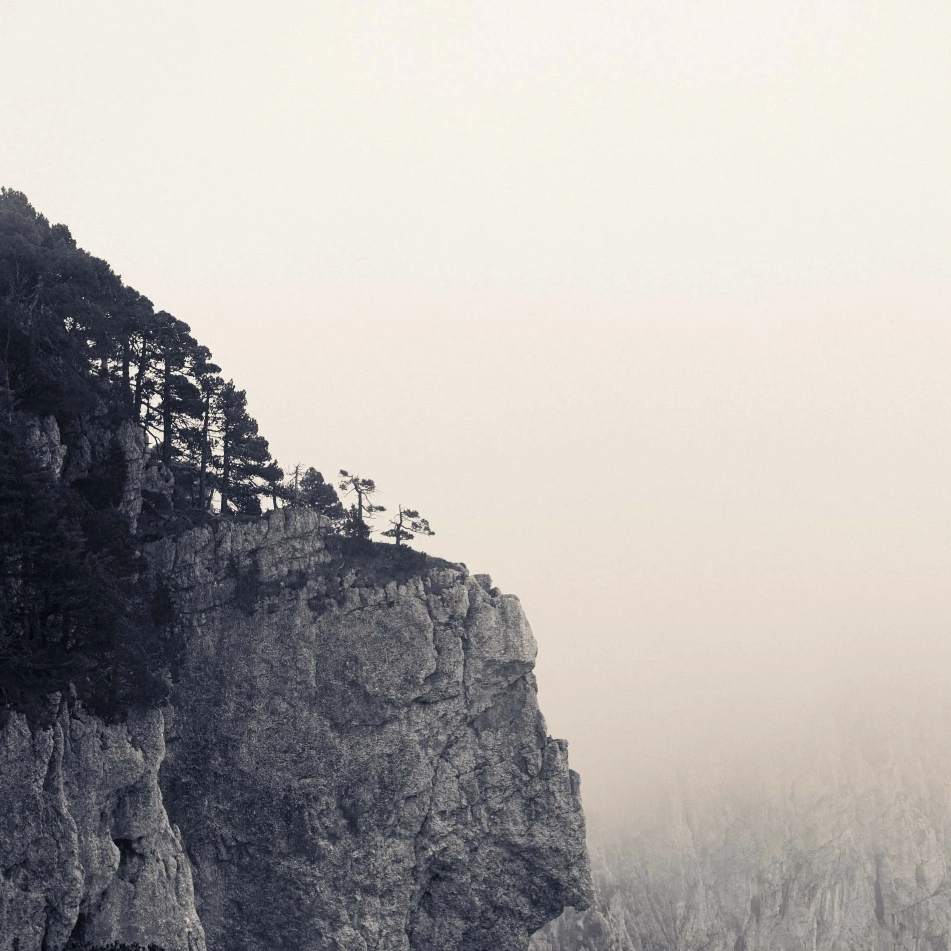 Scène de côte rocheuse avec des arbres de conifères, sous un ciel nuageux. Ambiance monochrome, paysage naturel montagneux.
