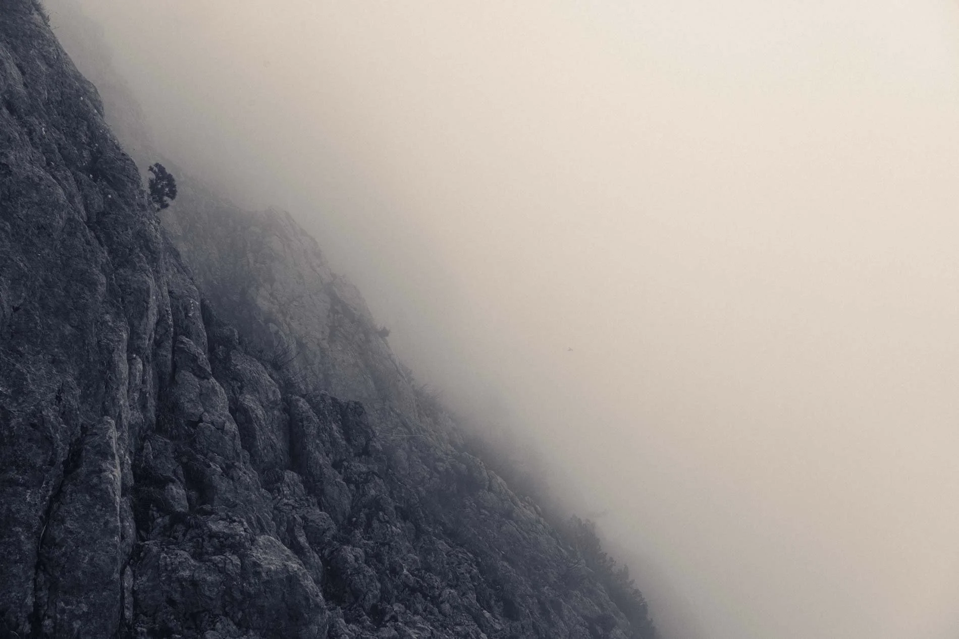 Montagnes rocheuses enveloppées de brouillard, avec une végétation sparse en haut à gauche.