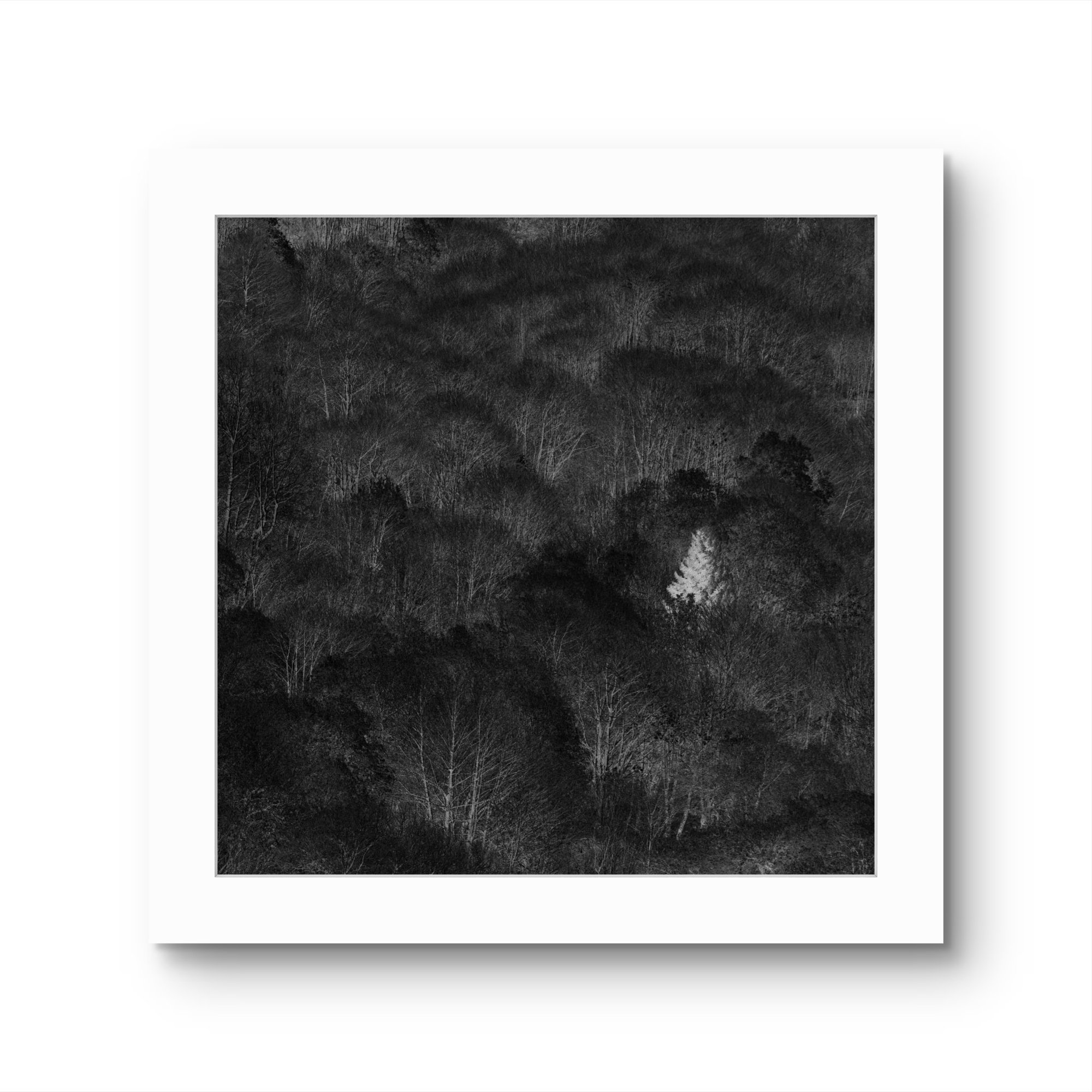 SOUL n°13 - 2025 - Tirage pigmentaire