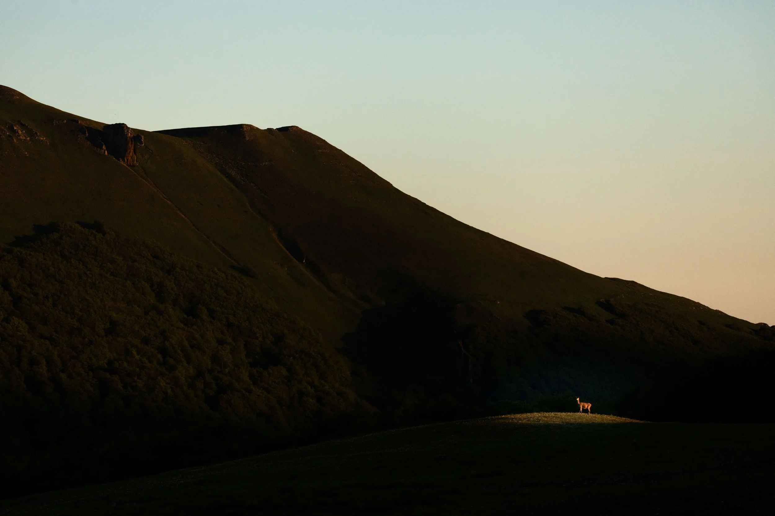Montagnes au coucher du soleil avec un cheval blanc au loin sur une pelouse