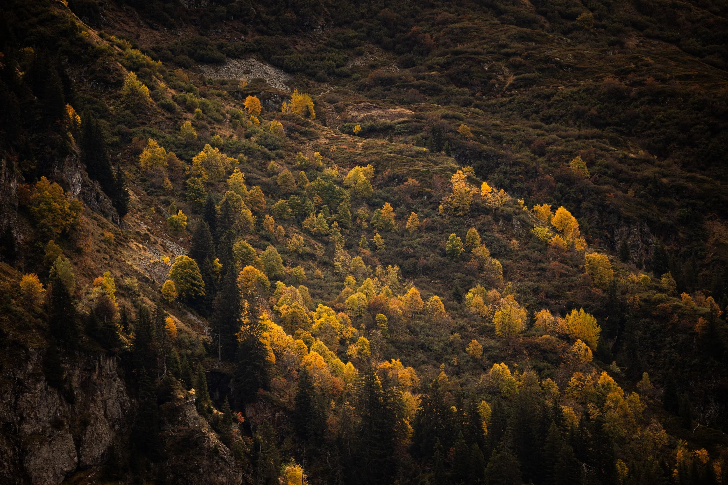 Une vallée montagneuse avec des arbres d'automne aux feuilles jaunes et vertes, sous un ciel nuageux.