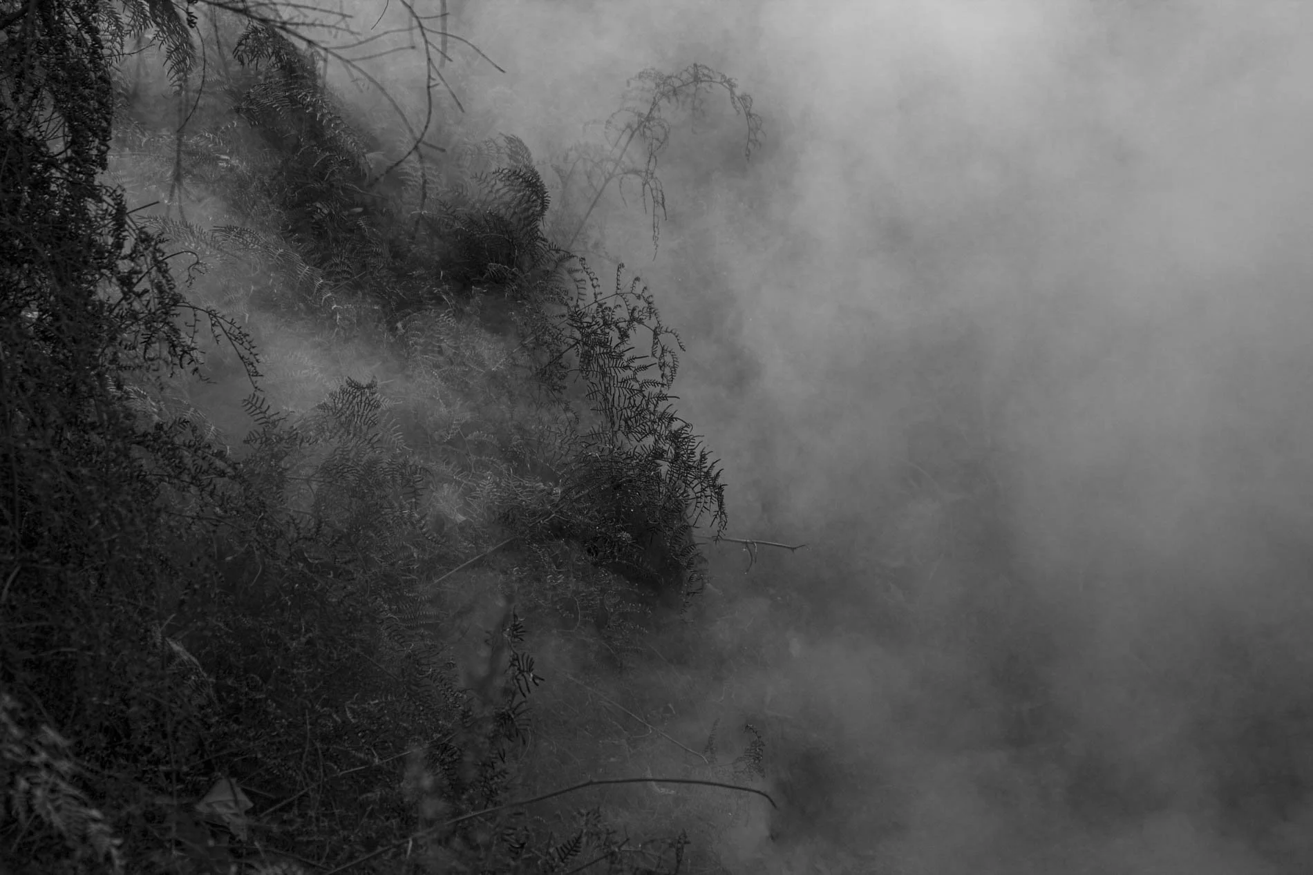 Photographie_Give me a breath - Rotorua NZ_053052000544.jpg