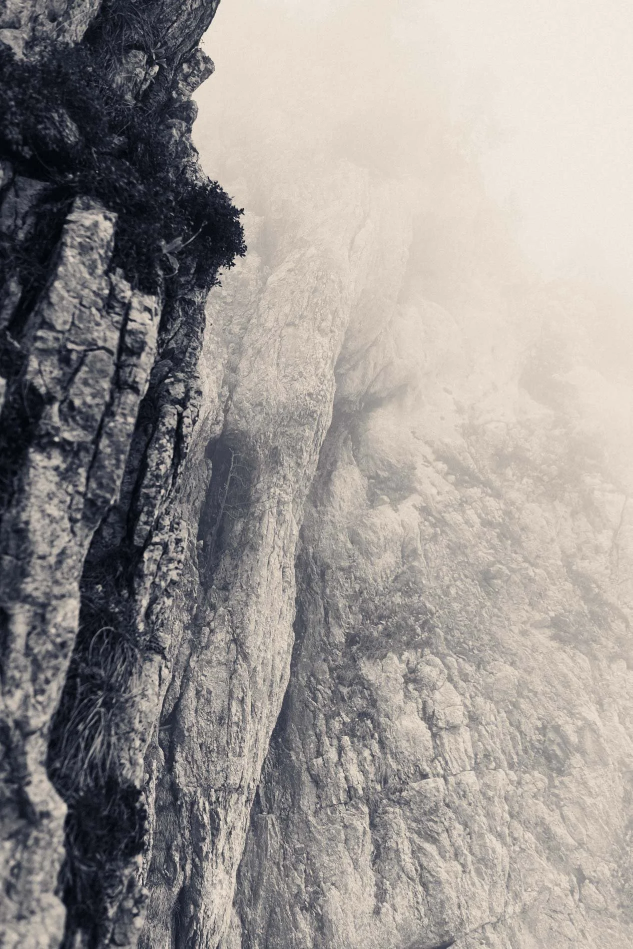 Une falaise rocheuse escarpée et enneigée dans un environnement brumeux, vue de près avec des détails de la roche et de la végétation minuscule.
