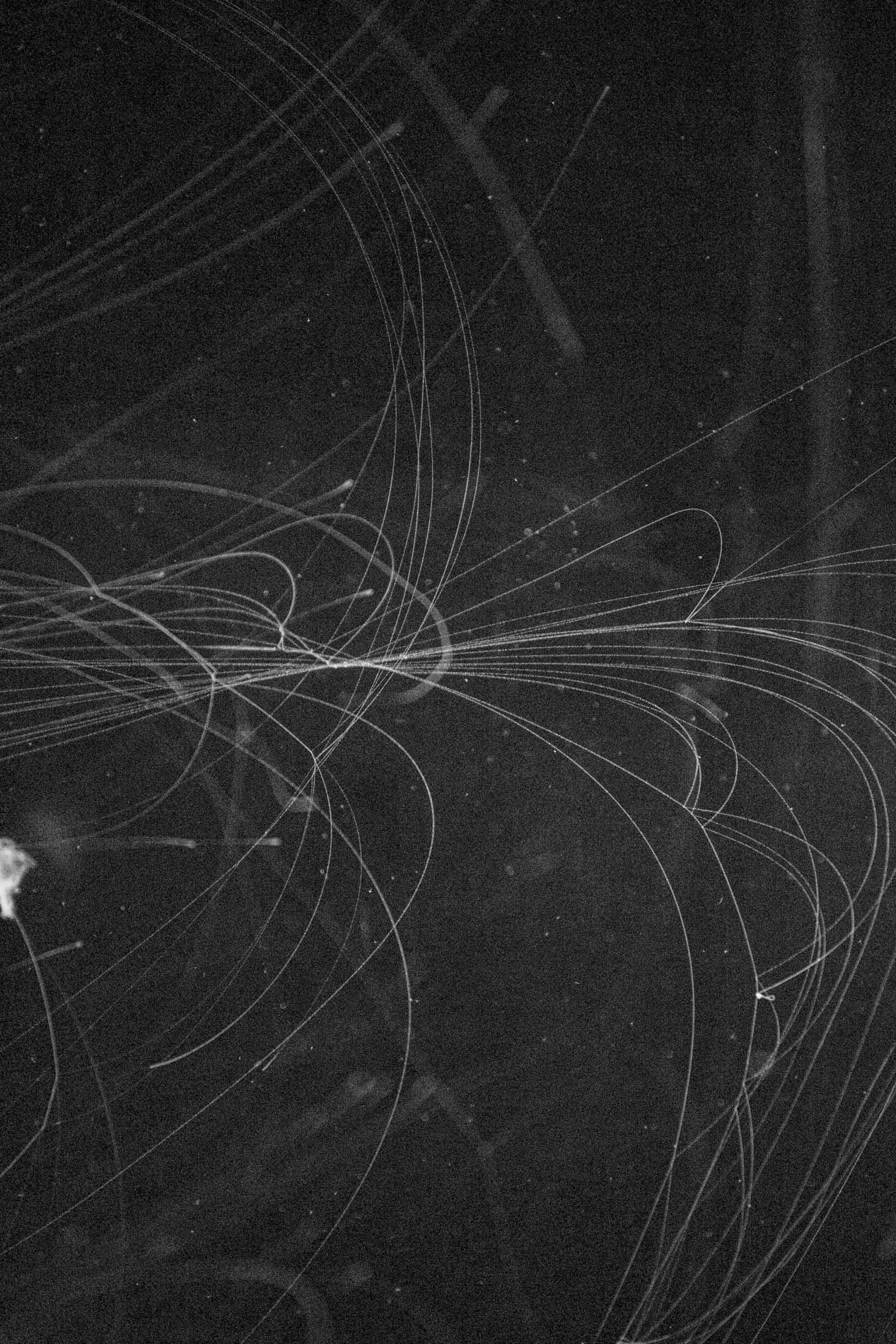Traînées lumineuses blanches contre un fond noir avec des étoiles dispersées.
