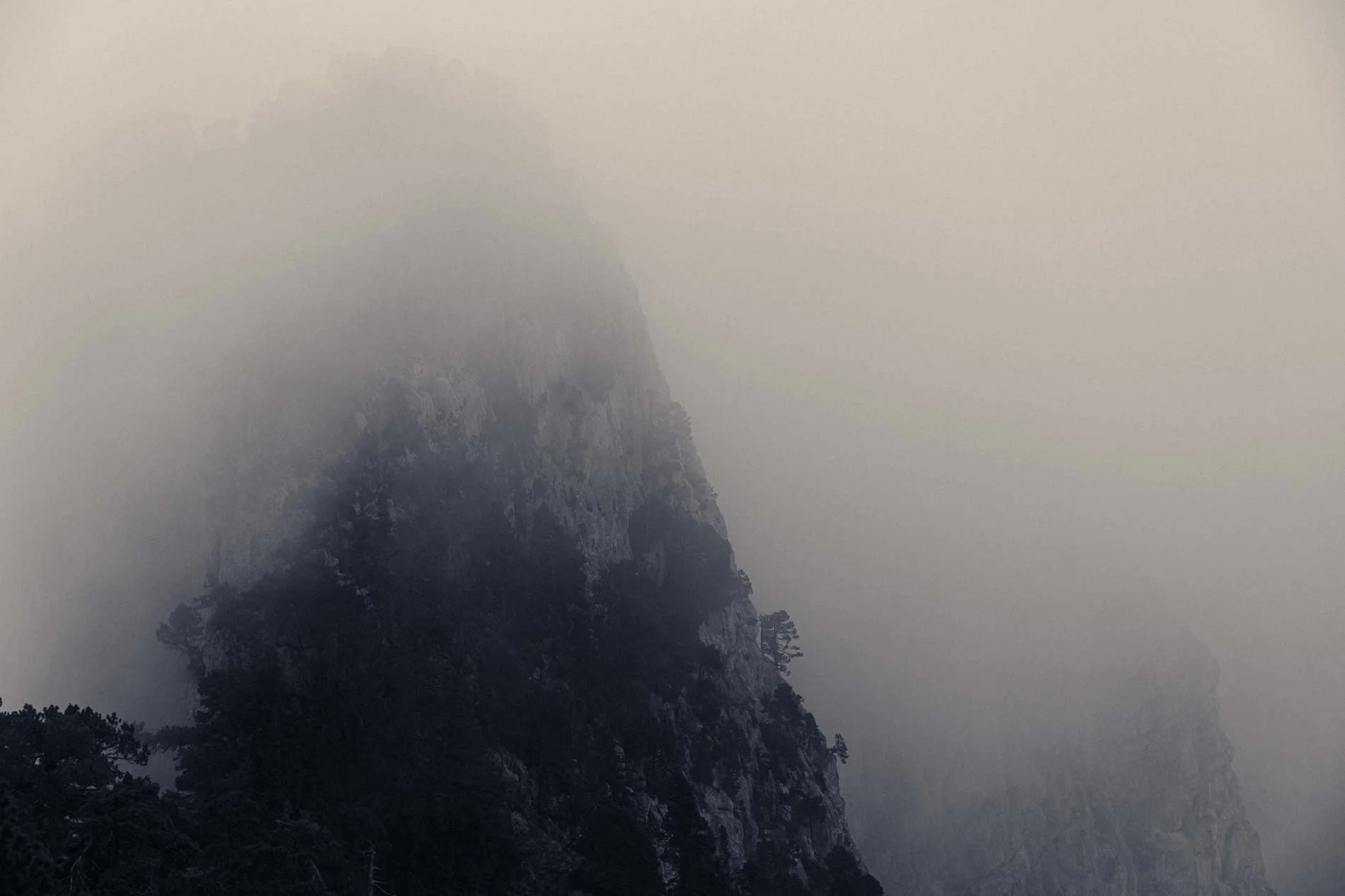 Montagne recouverte de brouillard avec des arbres au premier plan.
