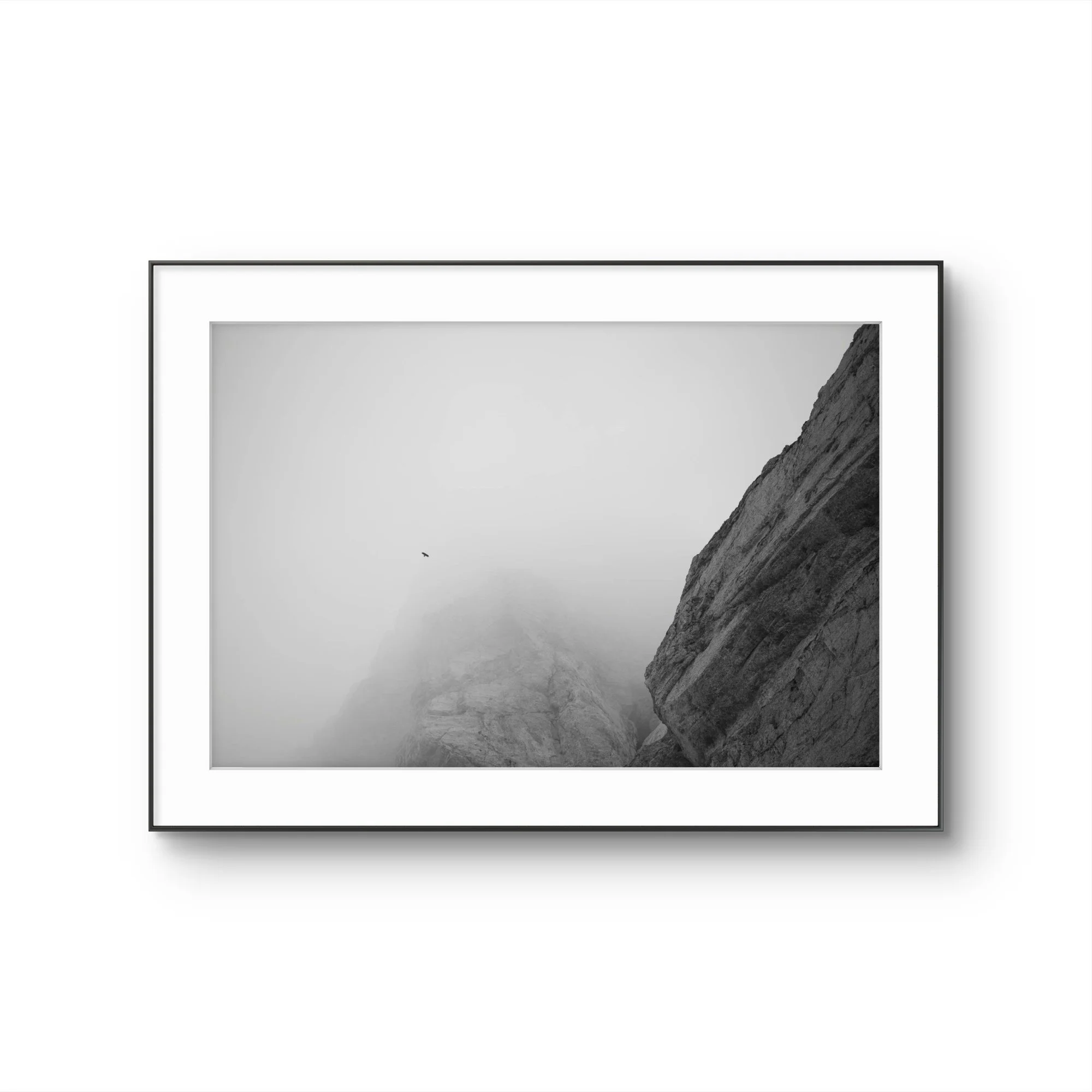 Une photographie en noir et blanc d'une montagne escarpée avec un ciel parsemé d'oiseaux