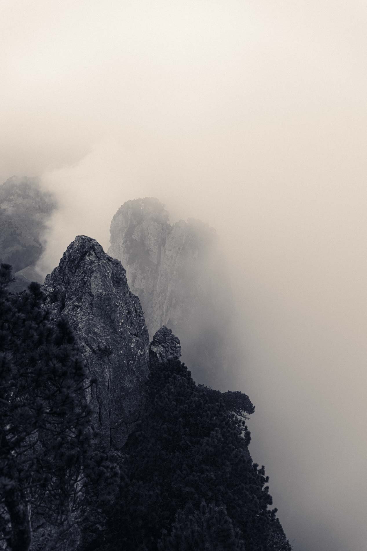 Montagne enneigée enveloppée de brouillard avec des arbres et des rochers en premier plan.