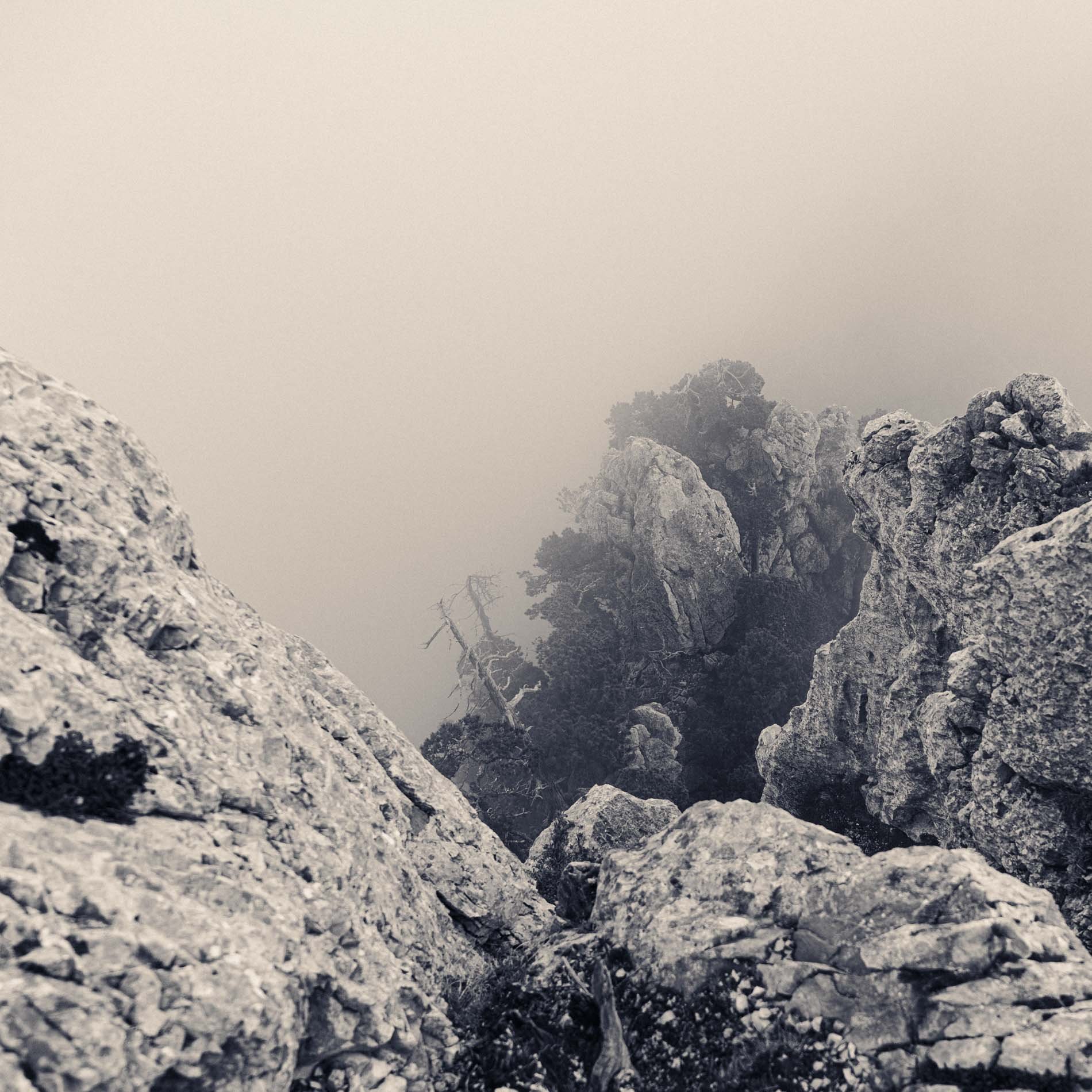 Paysage de montagne en noir et blanc avec des rochers et des arbres dépeints dans la brume