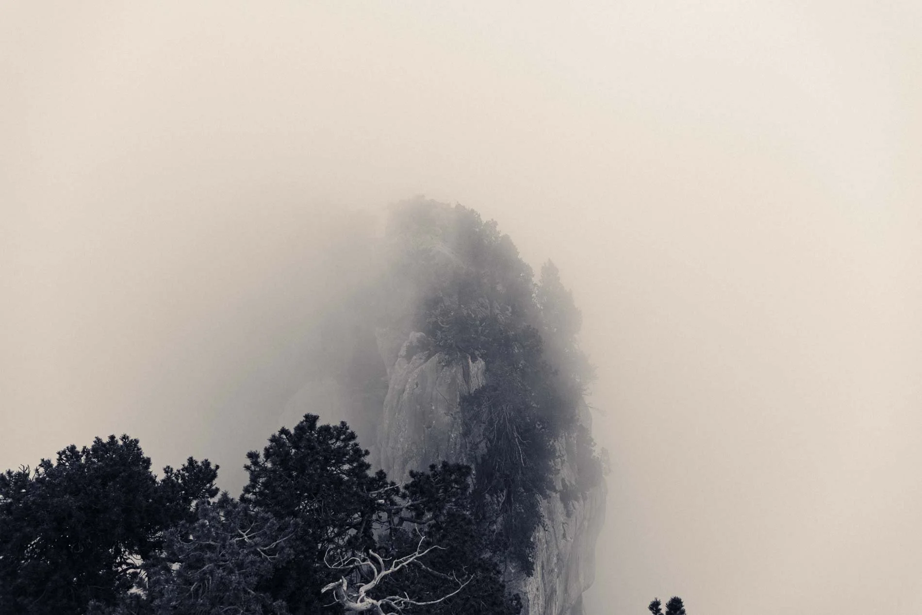 Montagne rocheuse recouverte de brouillard, arborée en bas