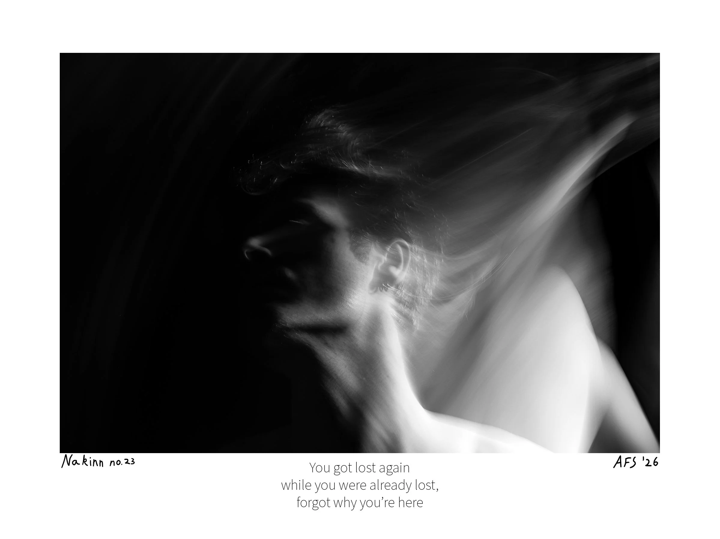 Nakinn 23-15x20cm.jpg