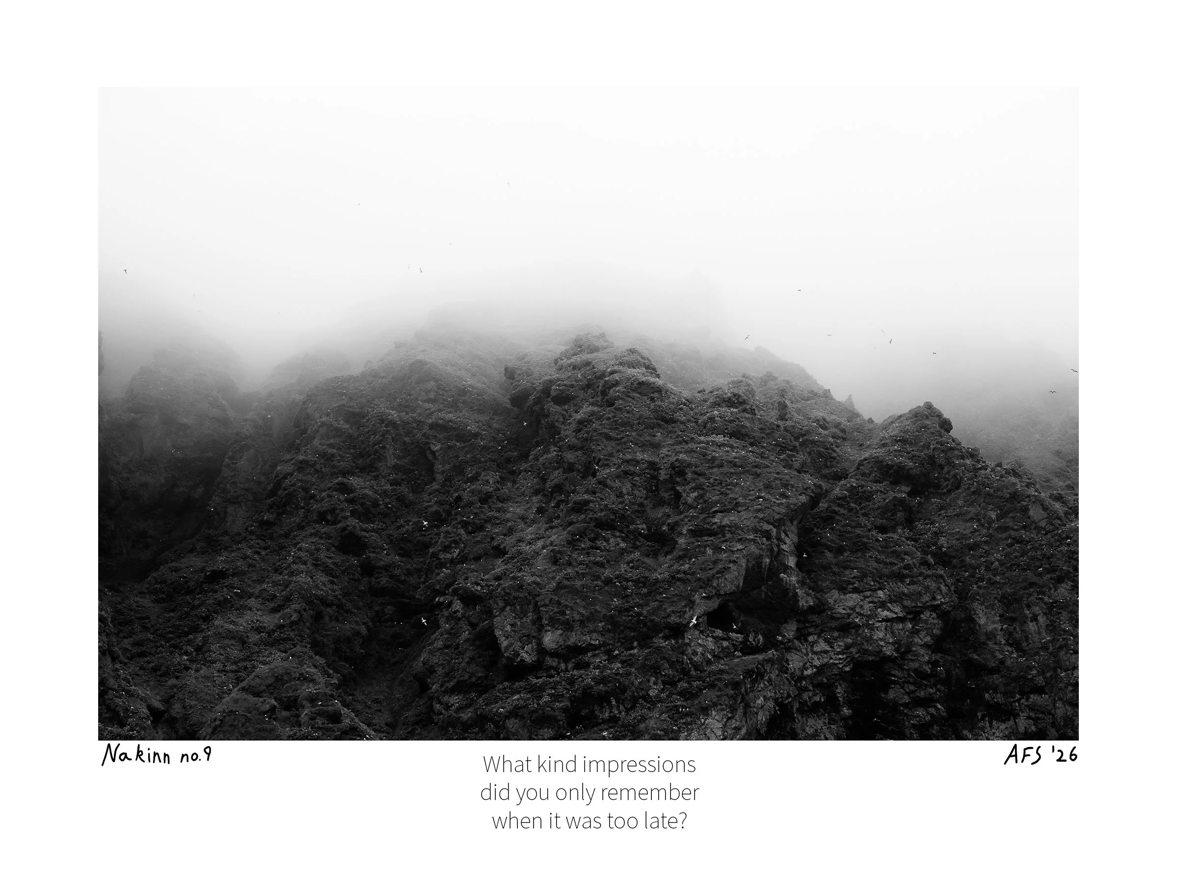 Nakinn no. 9 - print
