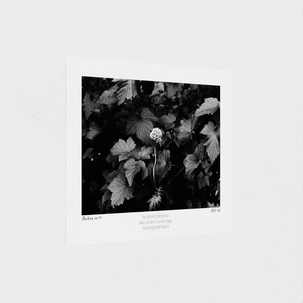 prodigi-GLOBAL-HGE-6X8-papertype_hge-substrateweight_310gsm-7.jpg