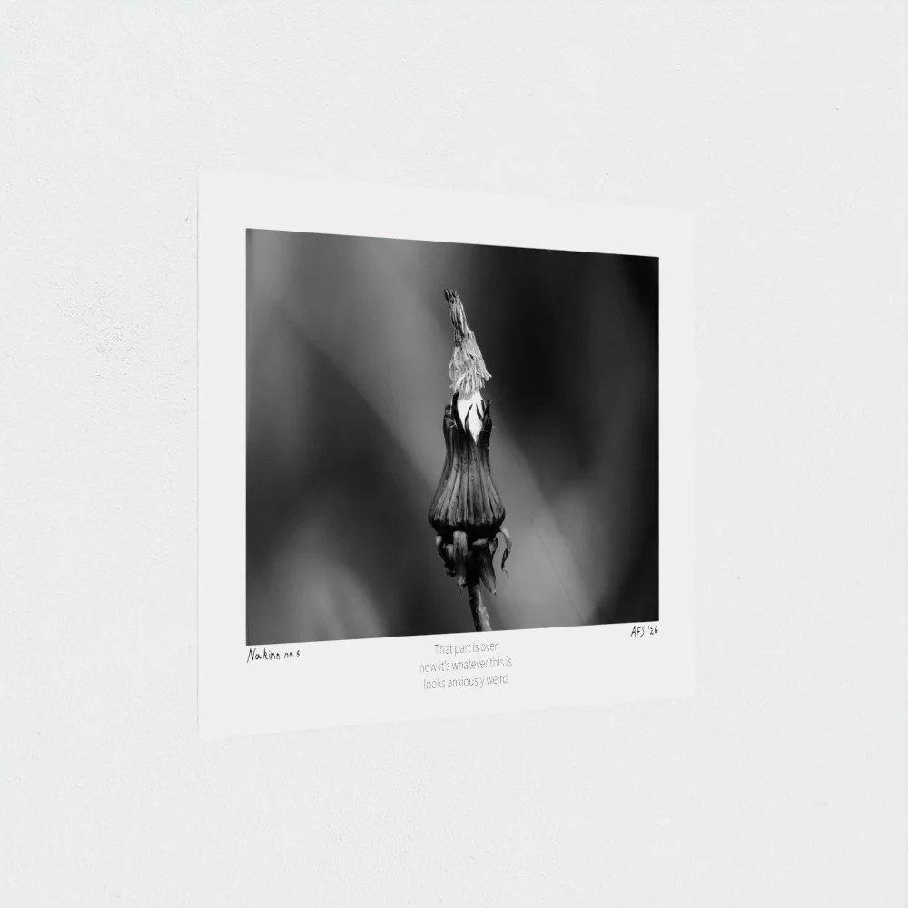 prodigi-GLOBAL-HGE-6X8-papertype_hge-substrateweight_310gsm.jpg