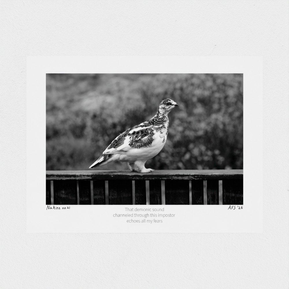 prodigi-GLOBAL-HGE-6X8-papertype_hge-substrateweight_310gsm-9.jpg