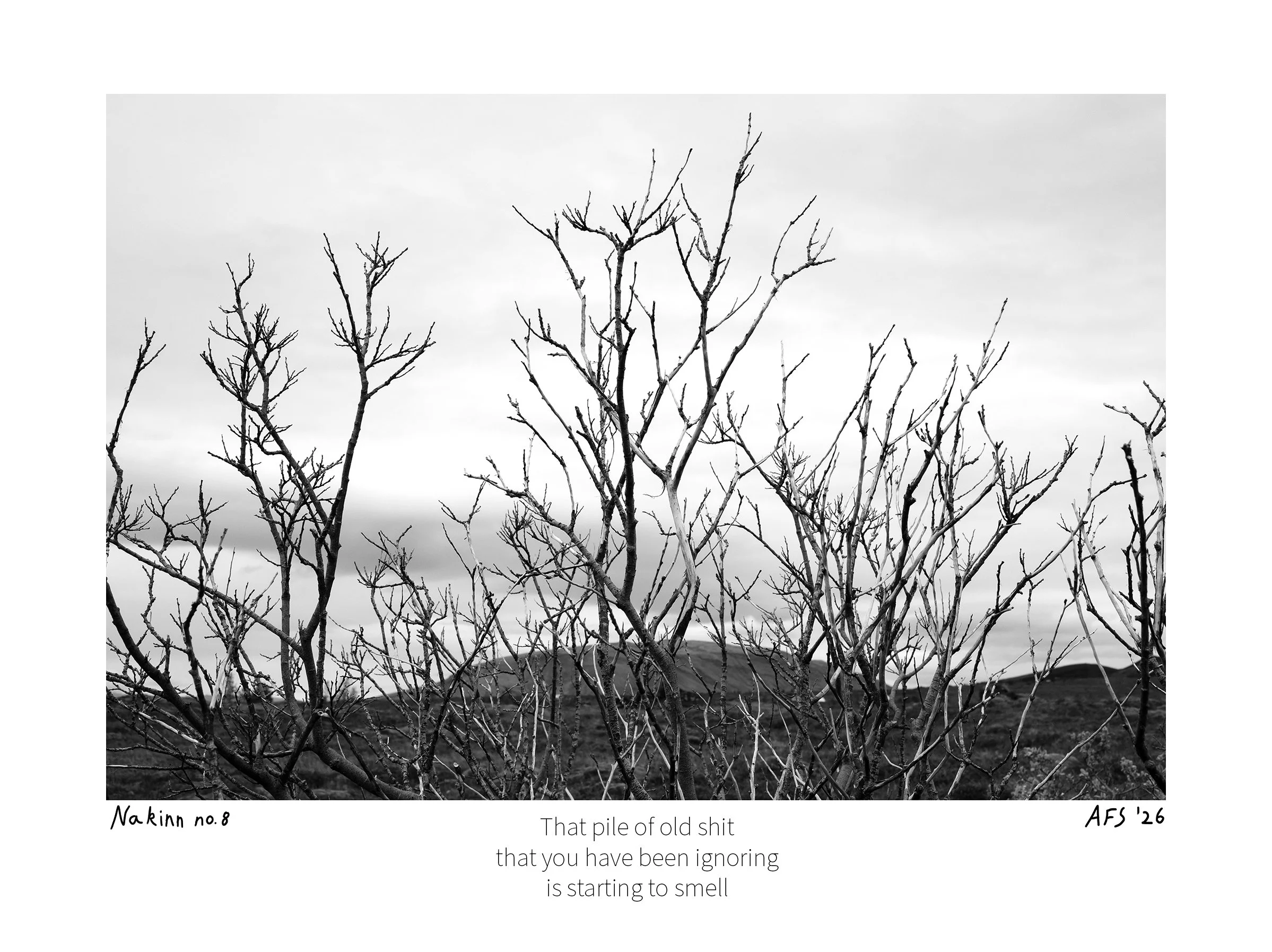 Nakinn 8-15x20cm.jpg