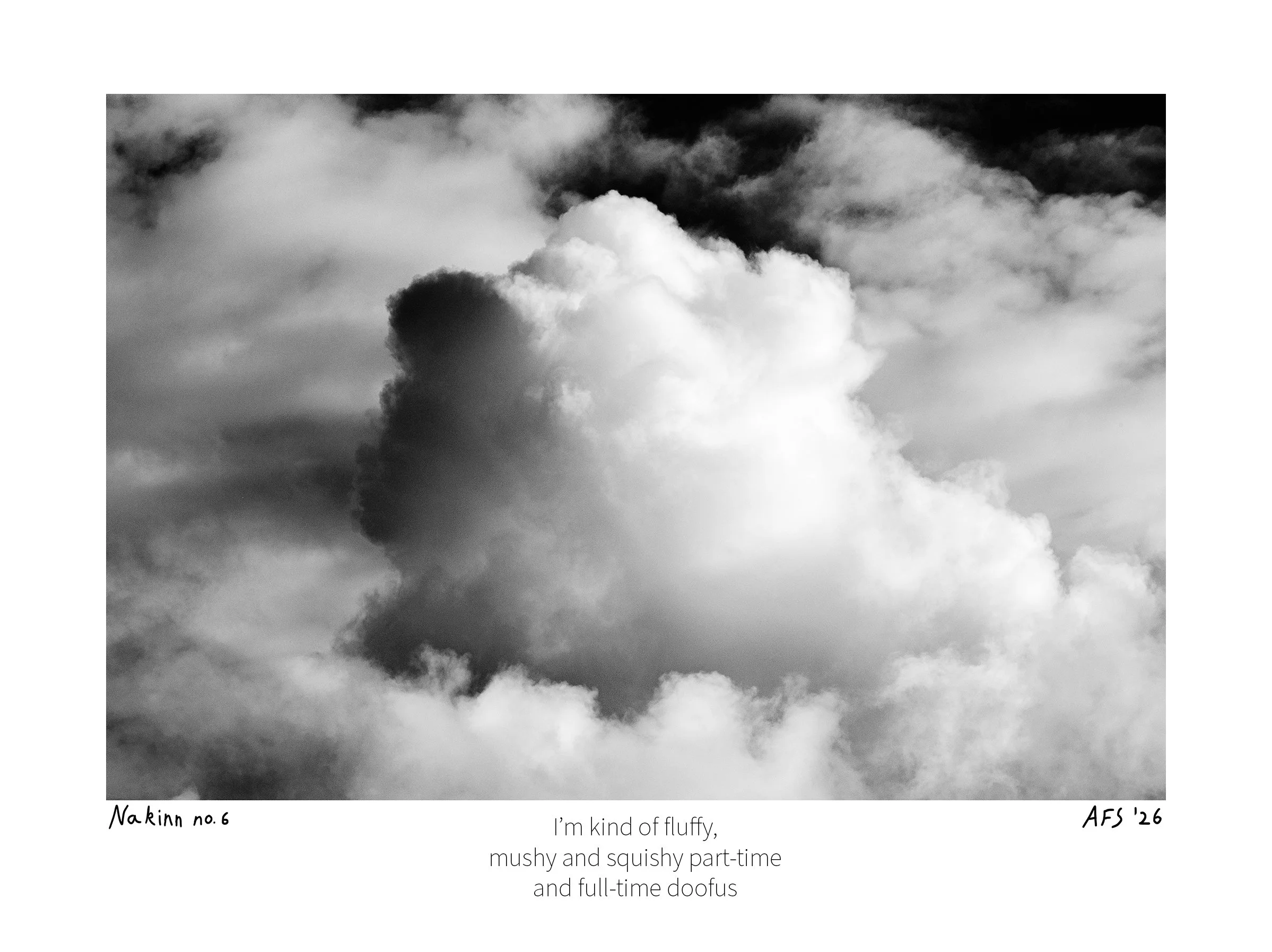 Nakinn 6-15x20cm.jpg