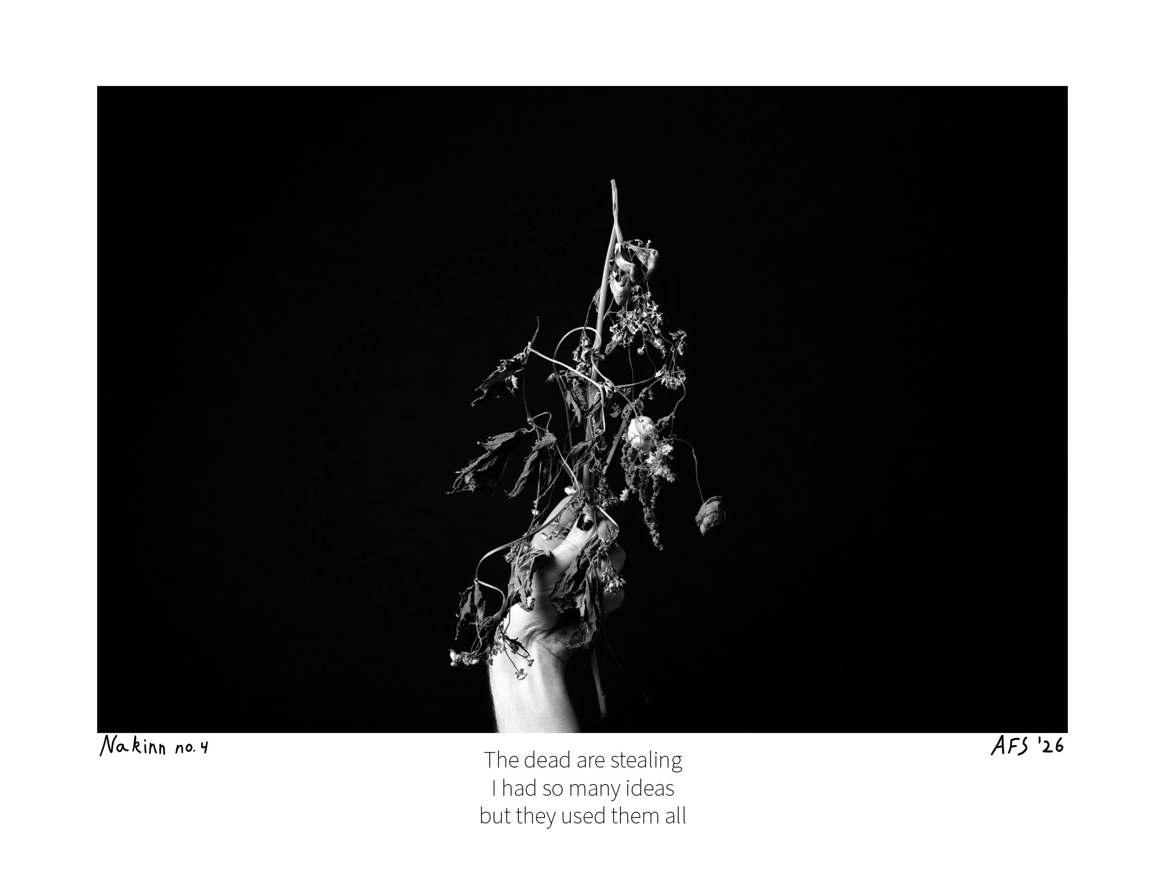 Nakinn 4-15x20cm.jpg