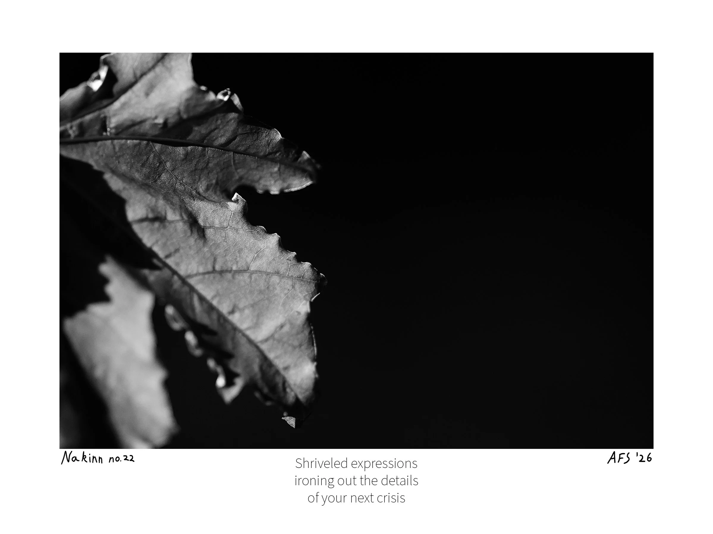 Nakinn no. 22 - print