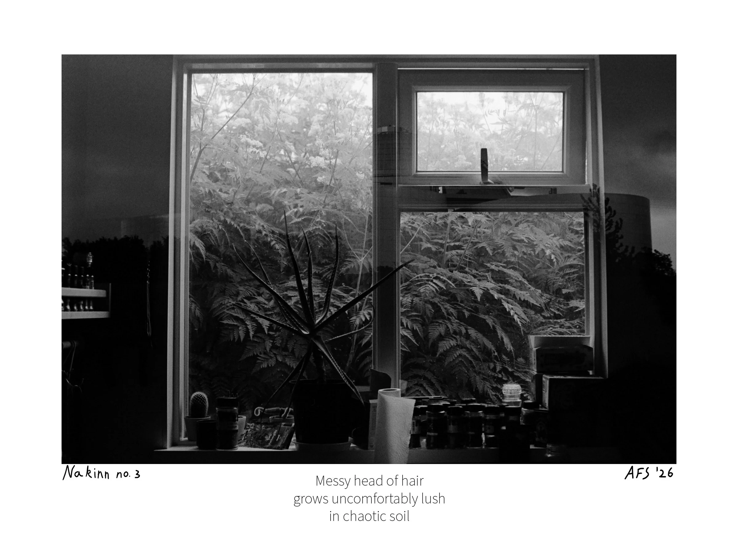 Nakinn 3-15x20cm copy.jpg