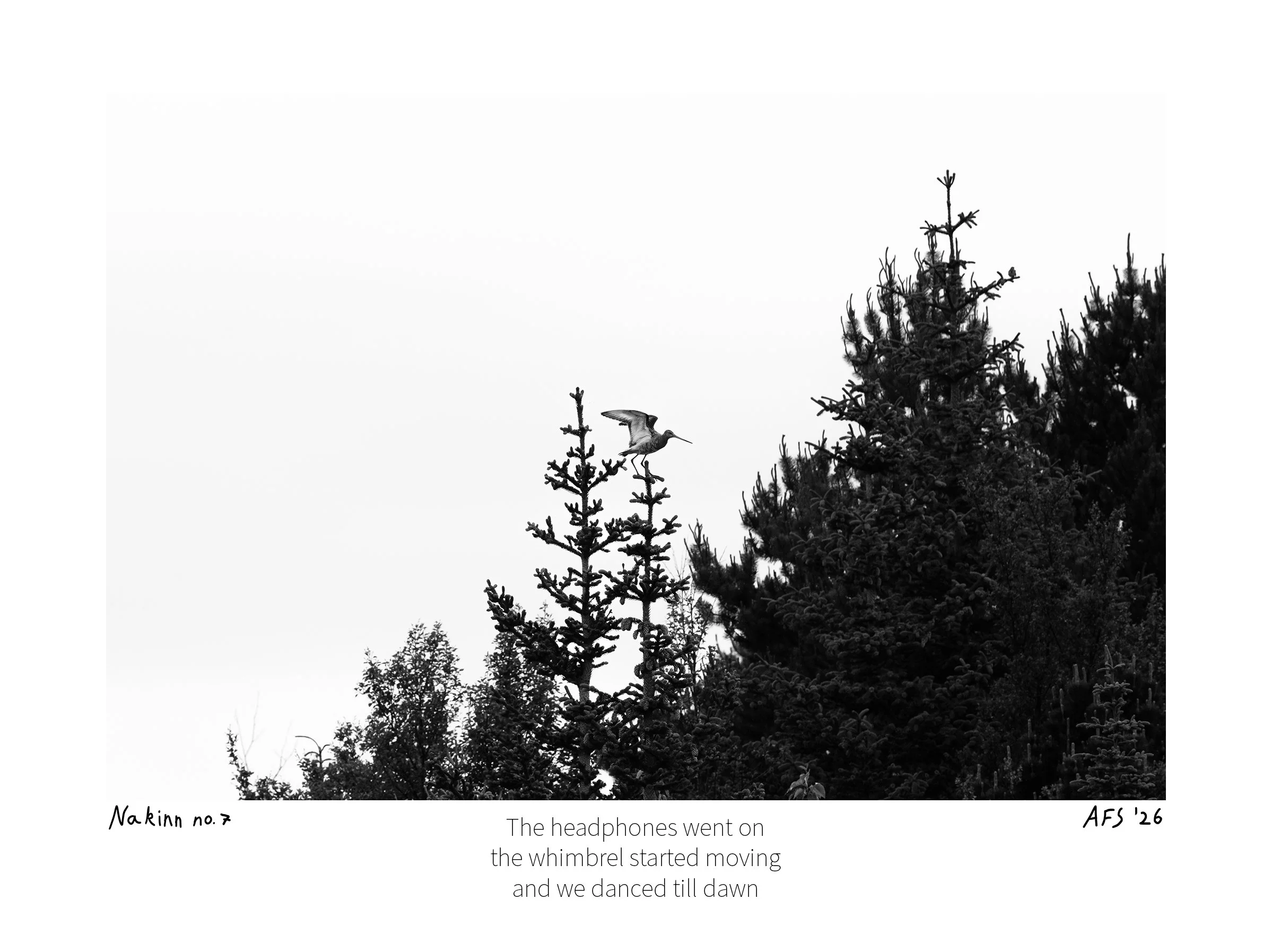 Nakinn 7-15x20cm.jpg