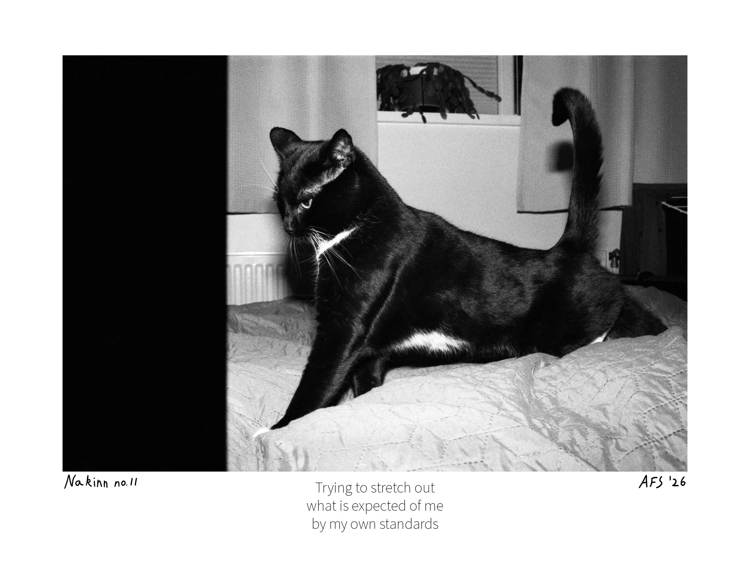 Nakinn no. 11 - print