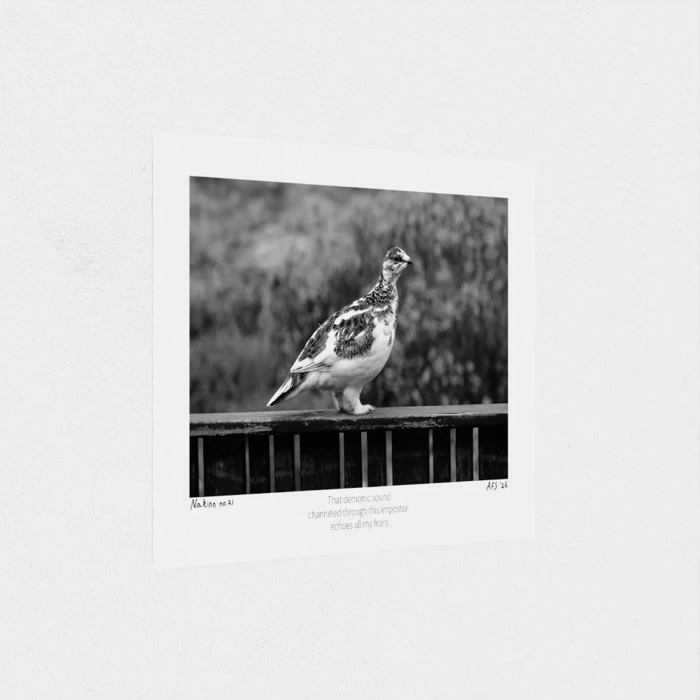 prodigi-GLOBAL-HGE-6X8-papertype_hge-substrateweight_310gsm-7.jpg