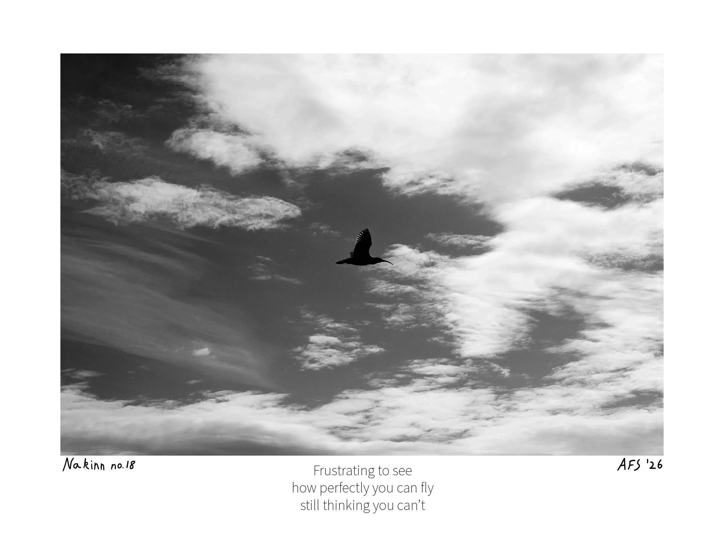 Nakinn no. 18 - print