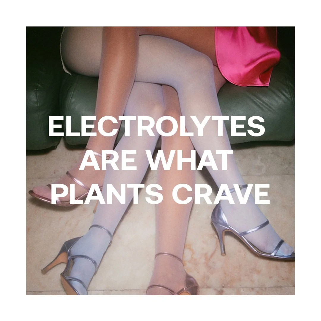 Two women sitting on a green couch, wearing high heels and sheer stockings, with white text overlay that says 'Electrolytes are what plants crave'.