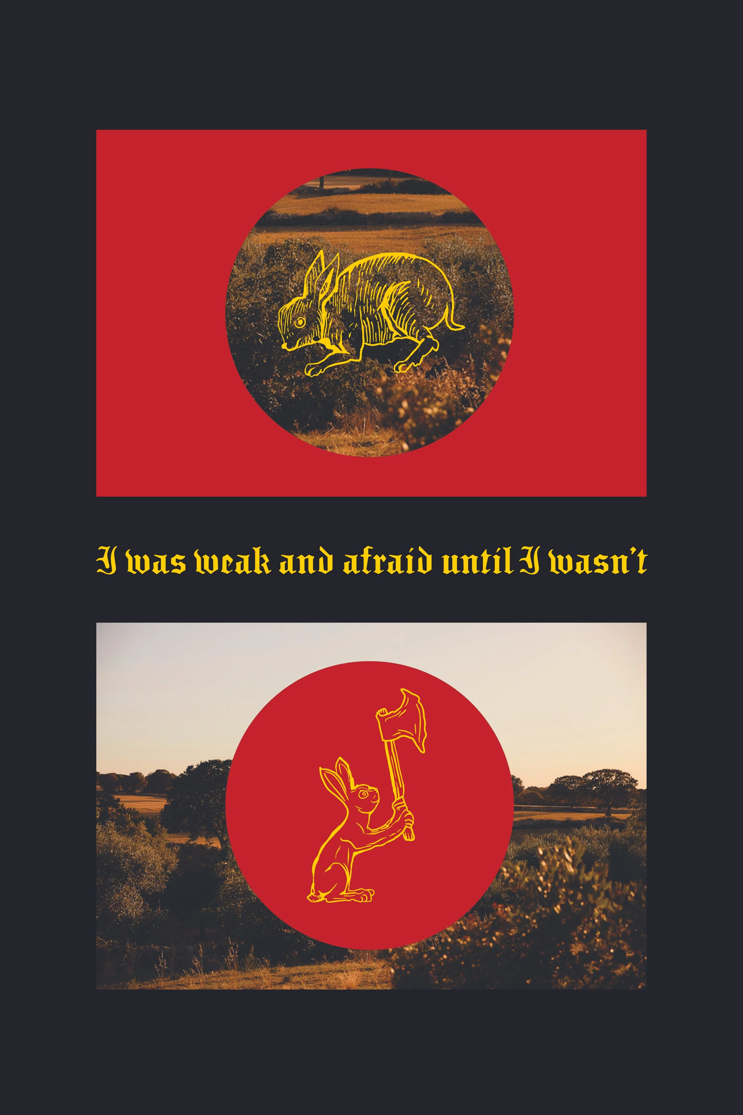 Two panels with a sunset landscape background. The first panel features a yellow illustration of a rabbit within a black circle, with the quote "I was weak and afraid until I wasn't" written below. The second panel shows a stylized illustration of a kangaroo holding a flag within a red circle, with a landscape background of trees and a sunset sky.