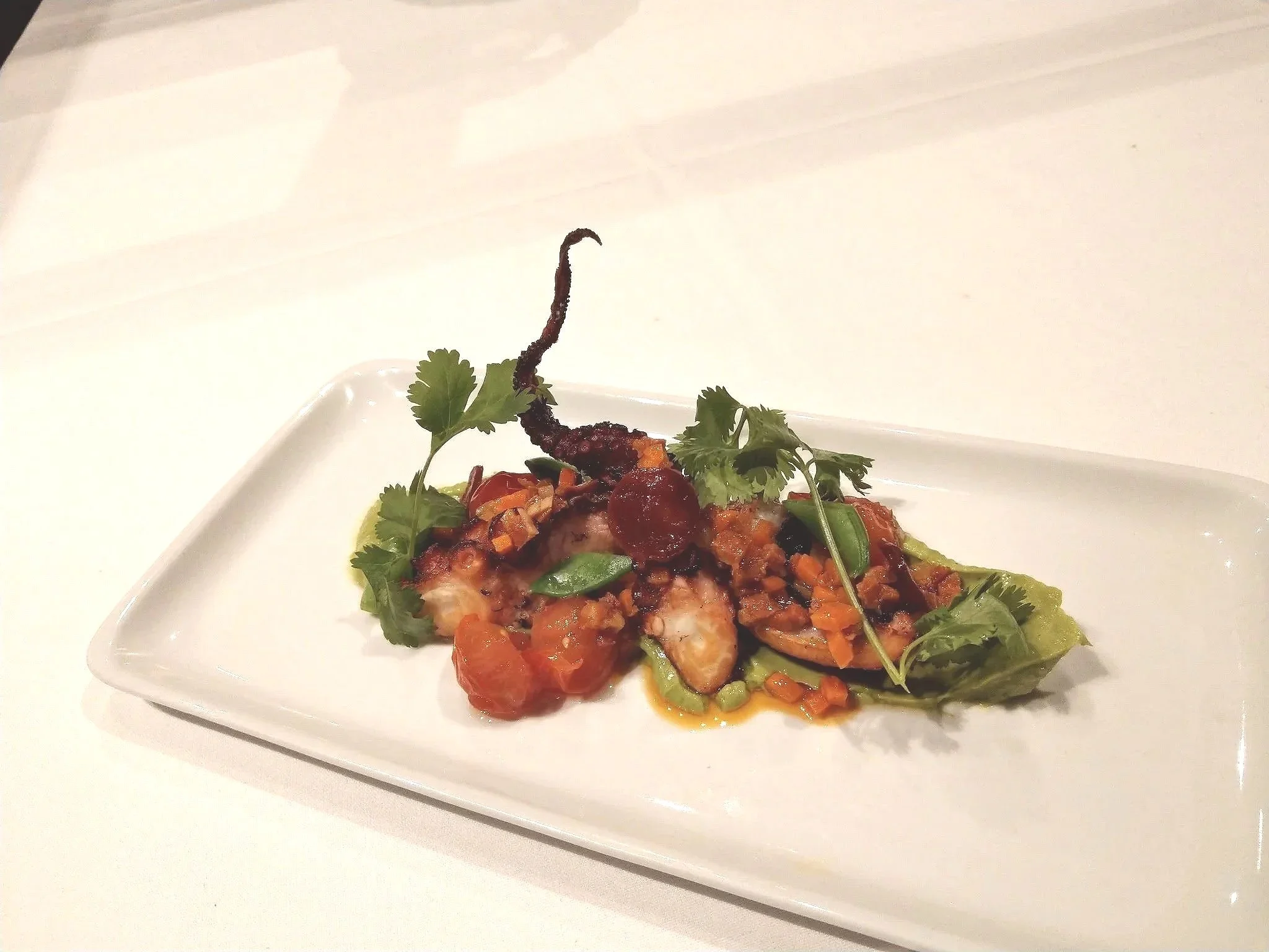 Octopus 