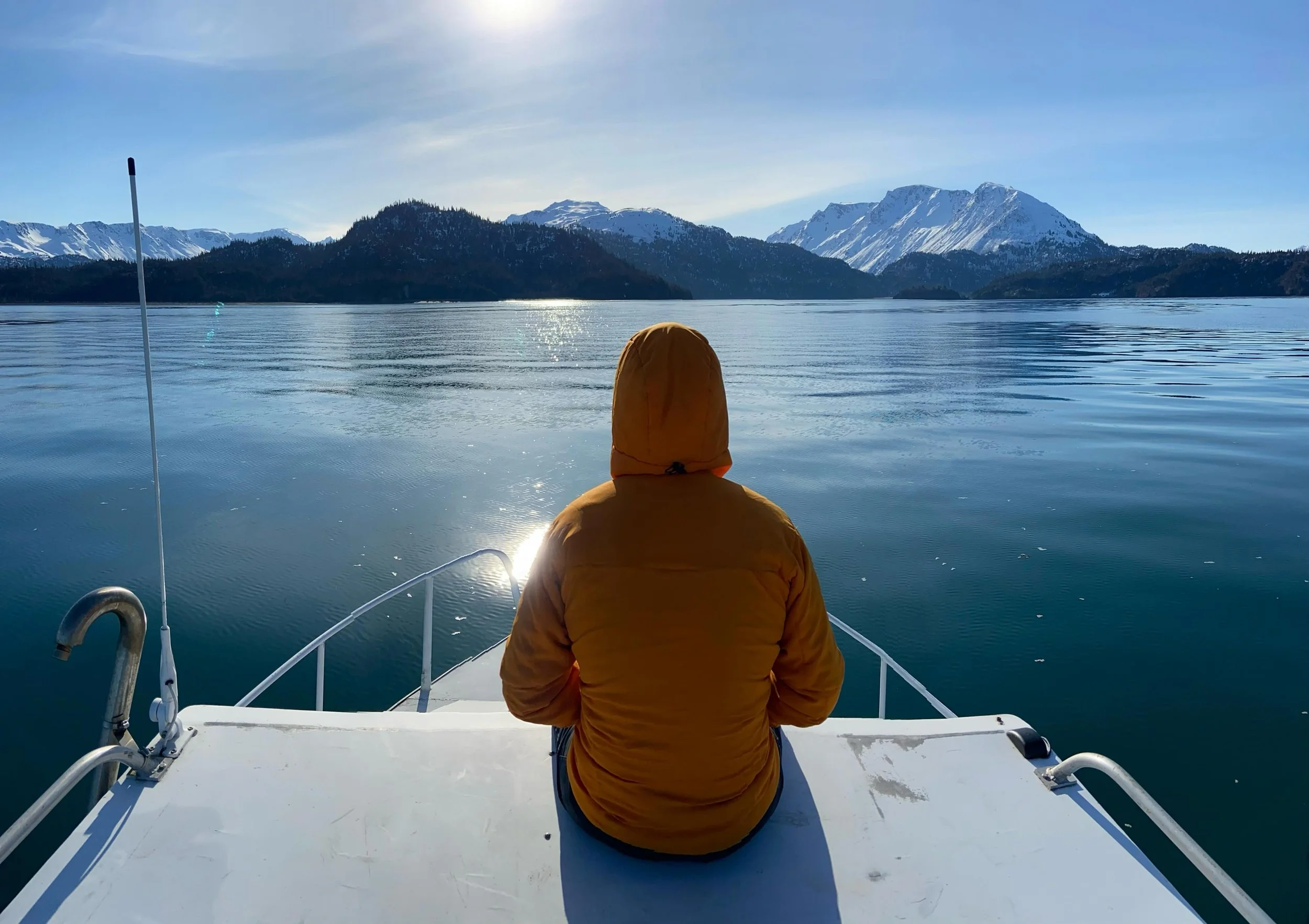 Are you a mental health professional or know a mental health professional, counselor, clinical supervisor?

Come earn 3.5 CEUs while spending an unforgettable day in Prince William Sound. 

Join fellow therapists in a small group on the Sea Goat for 