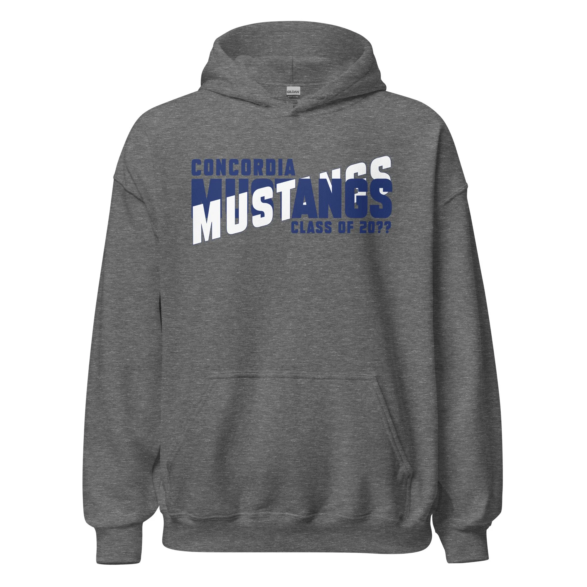 unisex-heavy-blend-hoodie-graphite-heather-front-6a650c8dce2ee.jpg